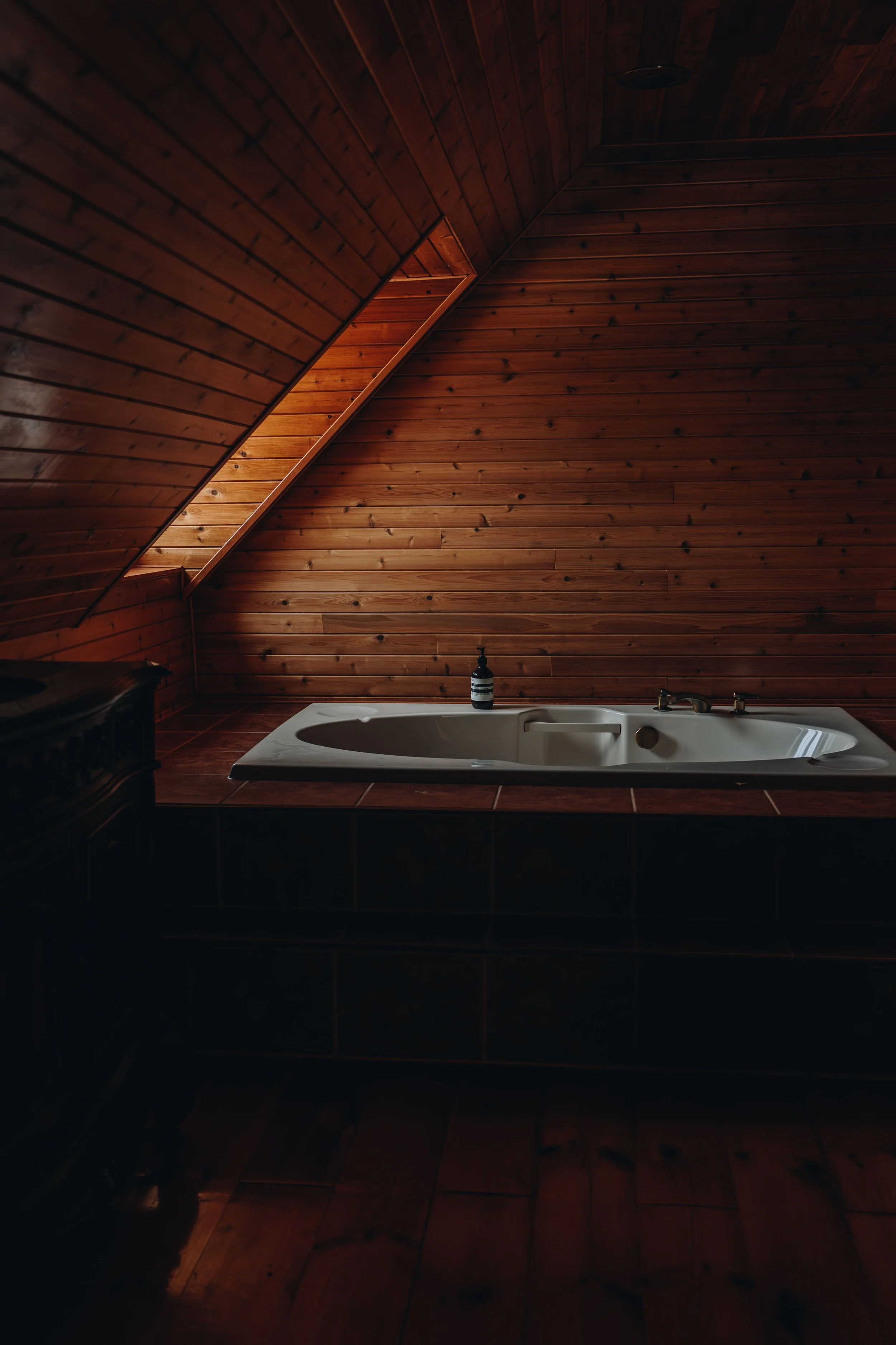 onvasepromener_le Selve_ch6.jpg