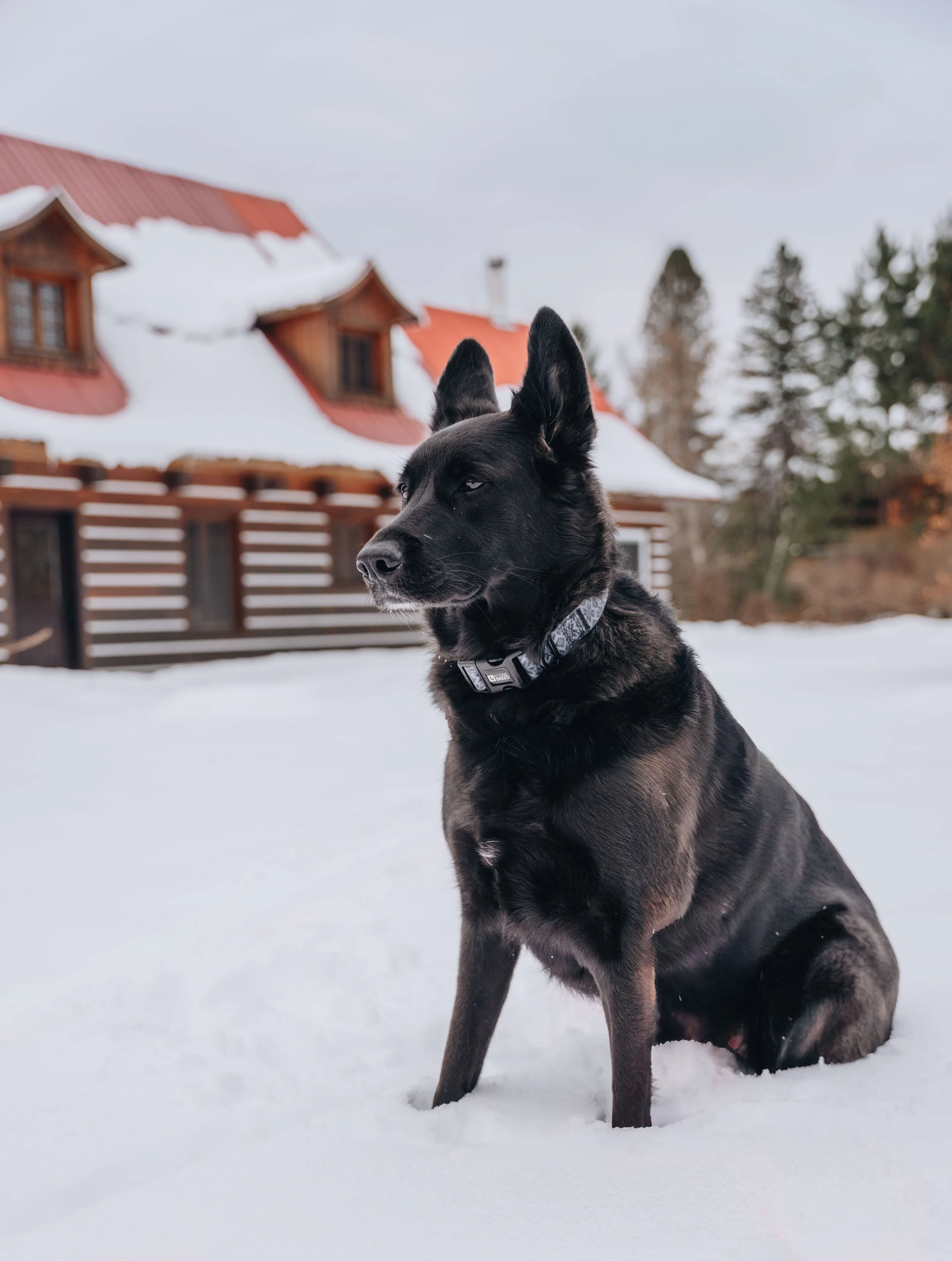 [Mauricie, Saint-Mathieu-du-Parc] Domaines du Parc - Le Selve