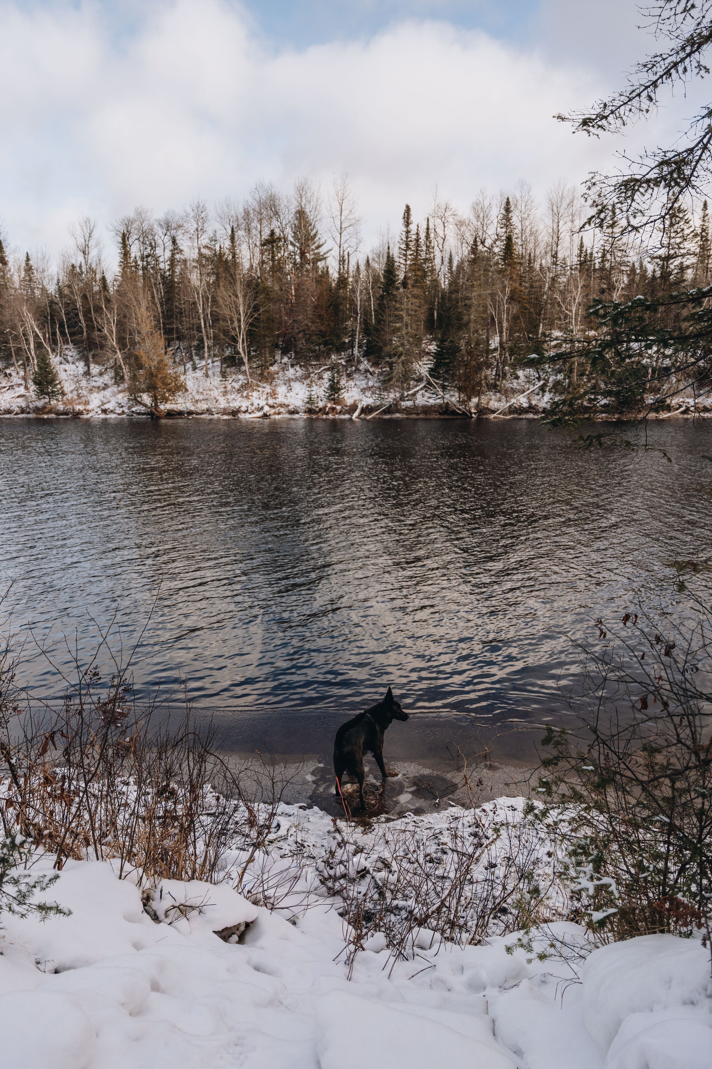Orion_onvasepromener_d60.jpg