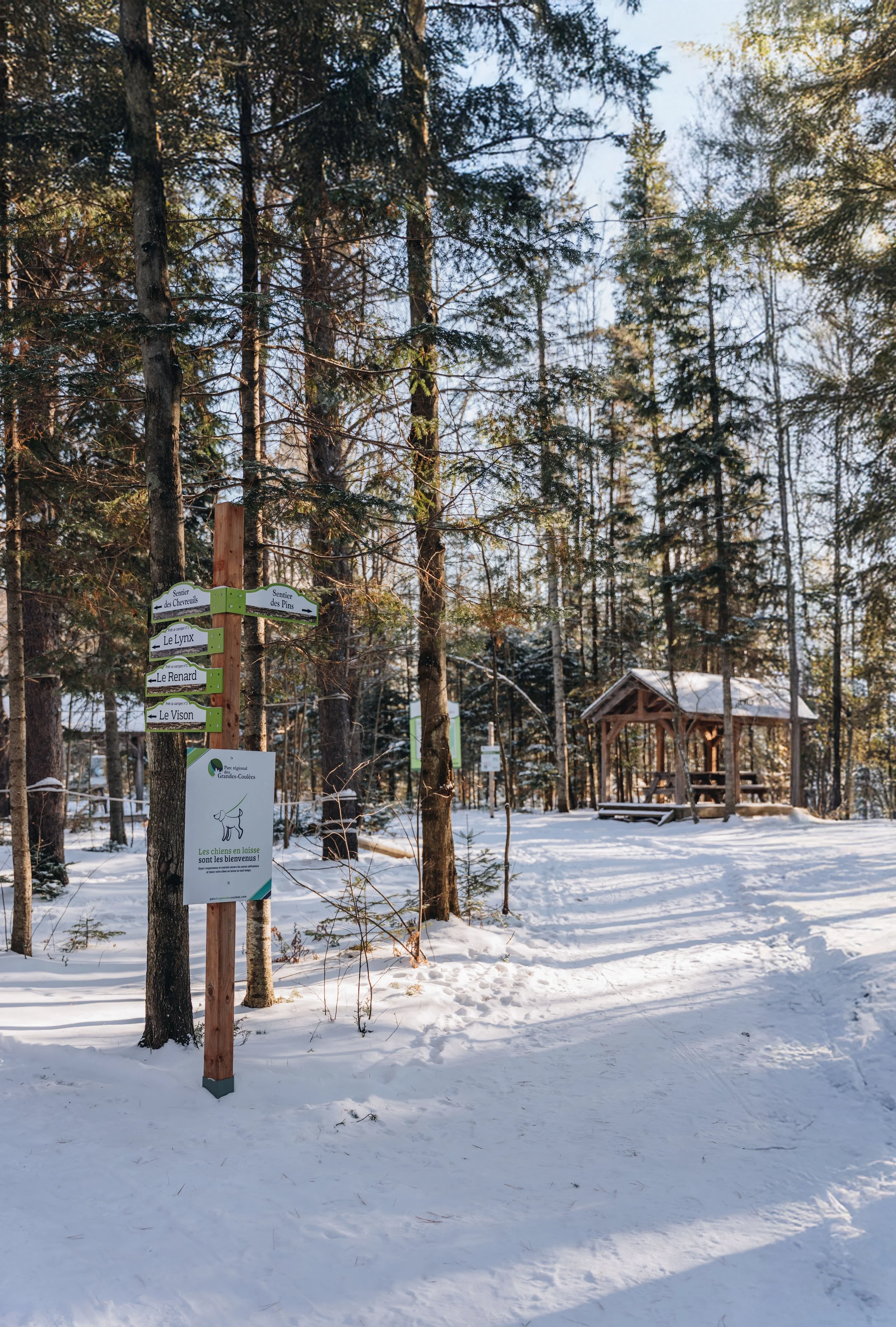 Parc Régional des Grandes-Coulées, chien, glamping sentier97.jpg