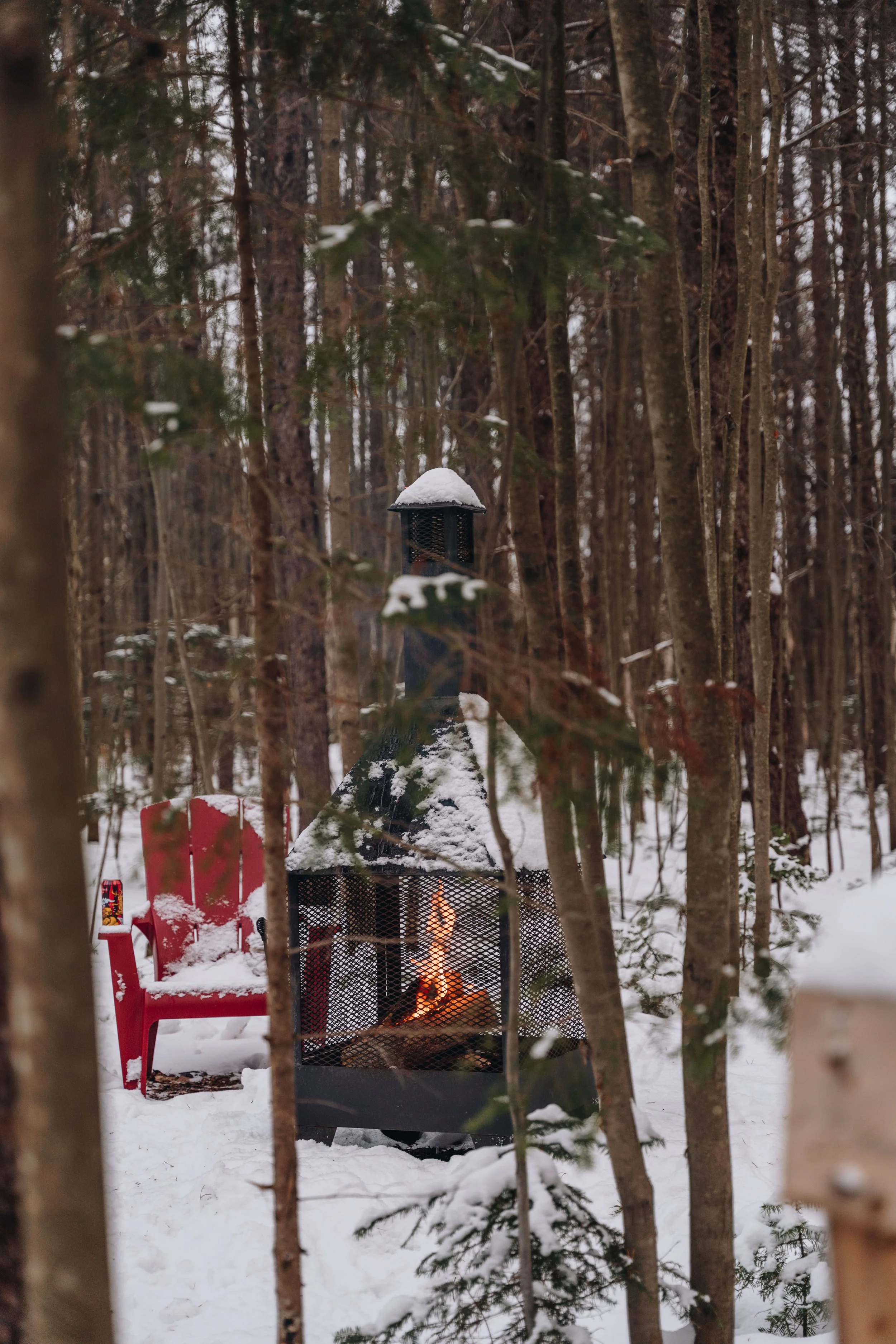 Parc Régional des Grandes-Coulées, chien, glamping sentier111.jpg
