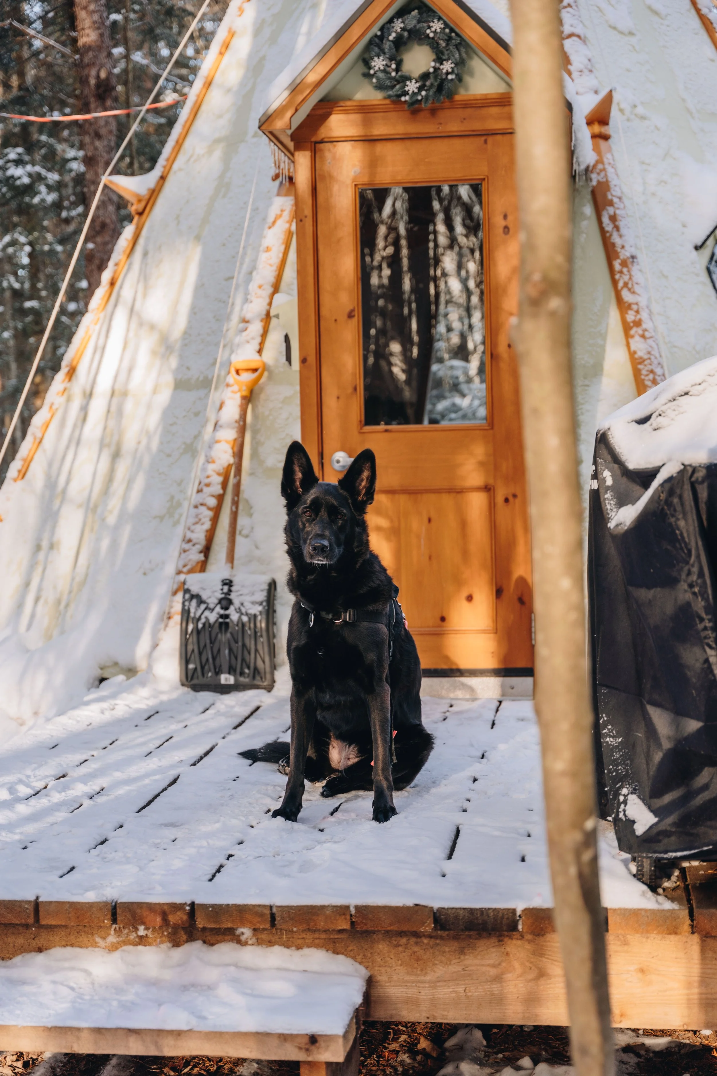 Parc Régional des Grandes-Coulées, chien, glamping sentier78.jpg