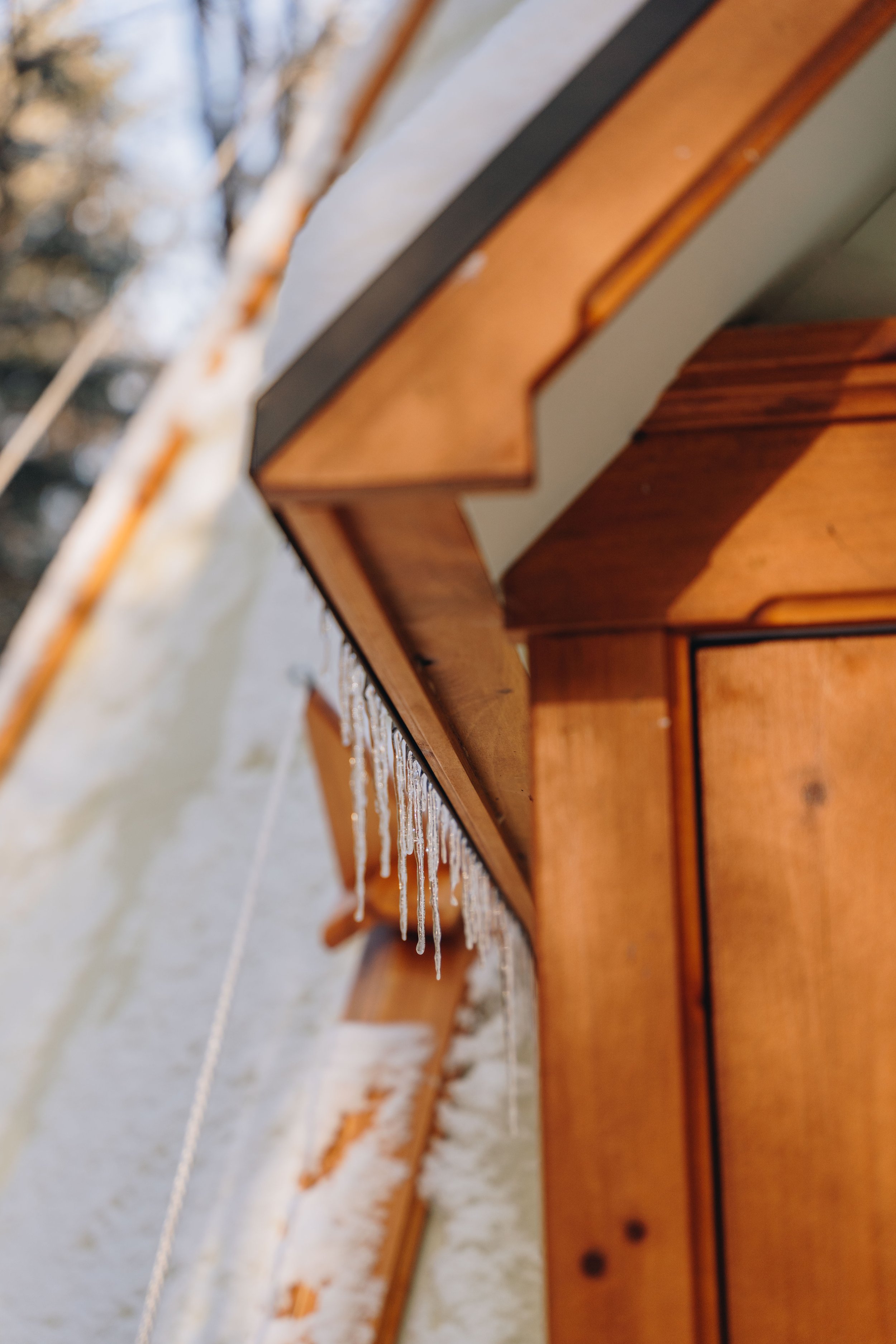 Parc Régional des Grandes-Coulées, chien, glamping sentier72.jpg