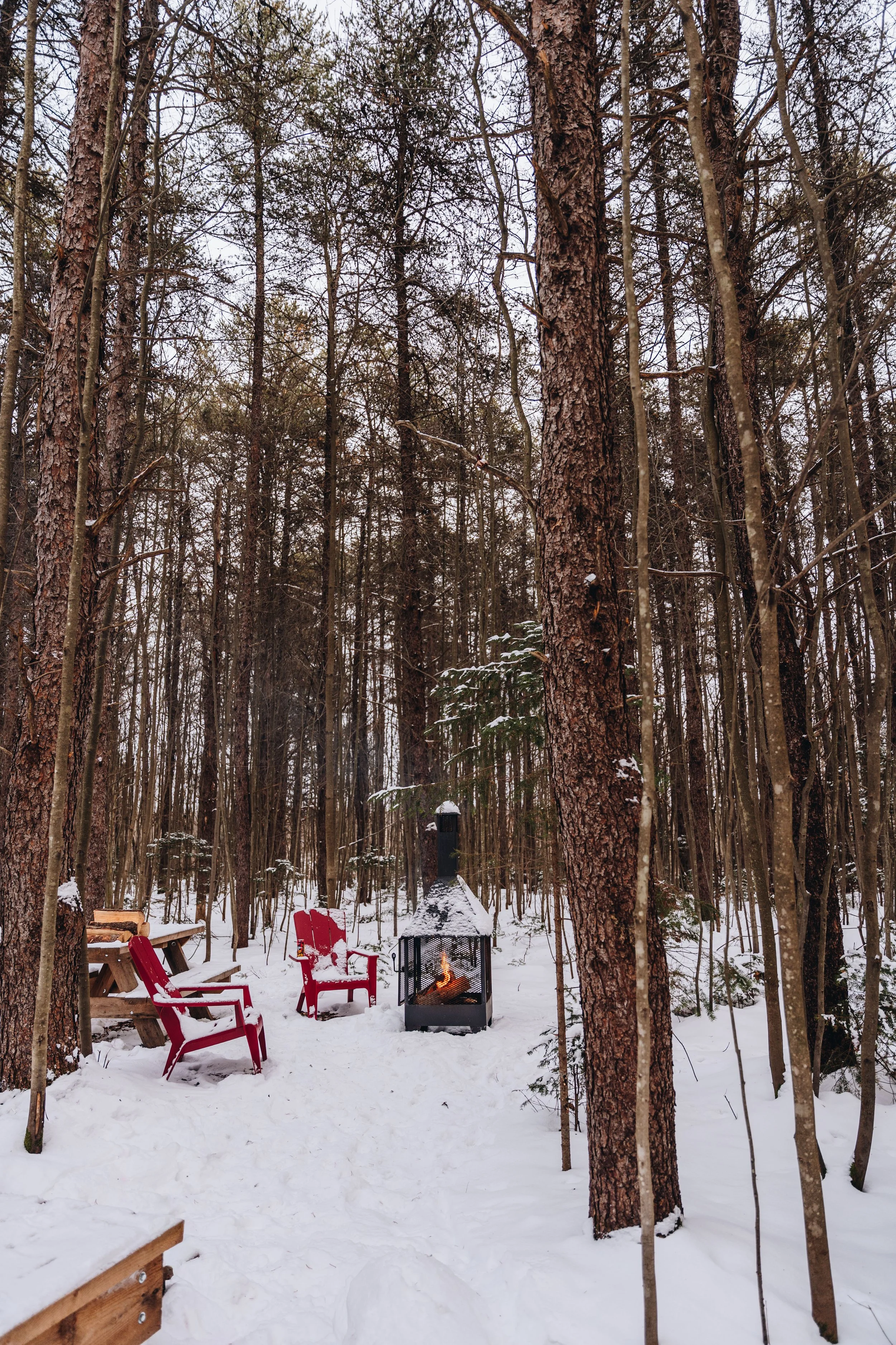 Parc Régional des Grandes-Coulées, chien, glamping sentier108.jpg