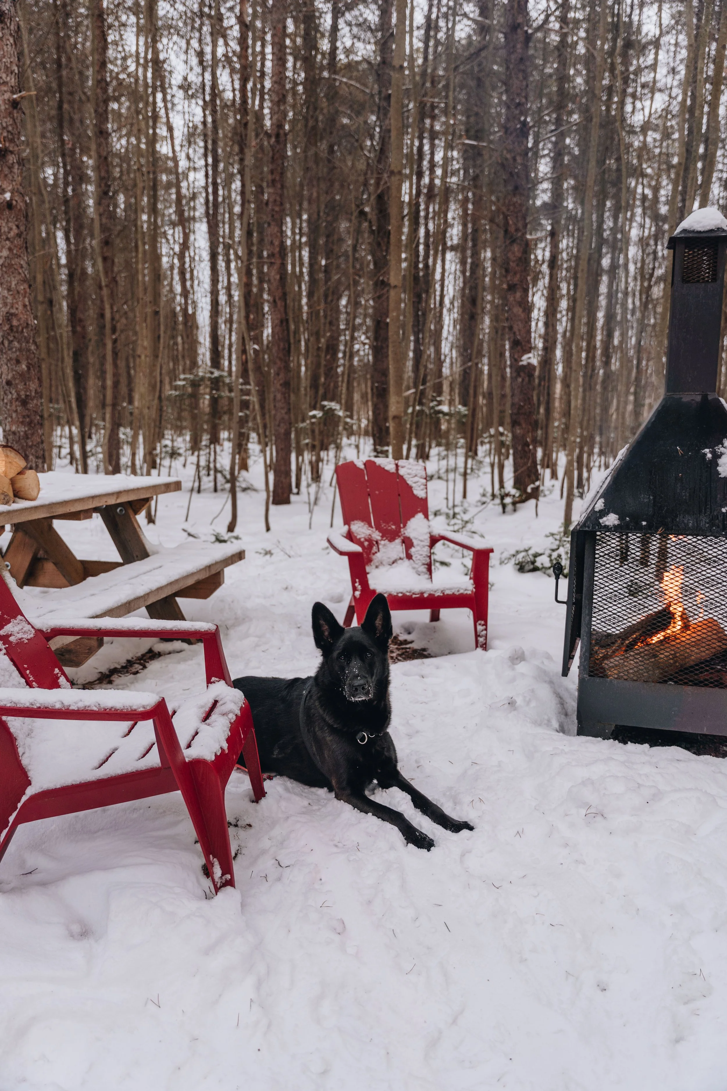Parc Régional des Grandes-Coulées, chien, glamping sentier113.jpg