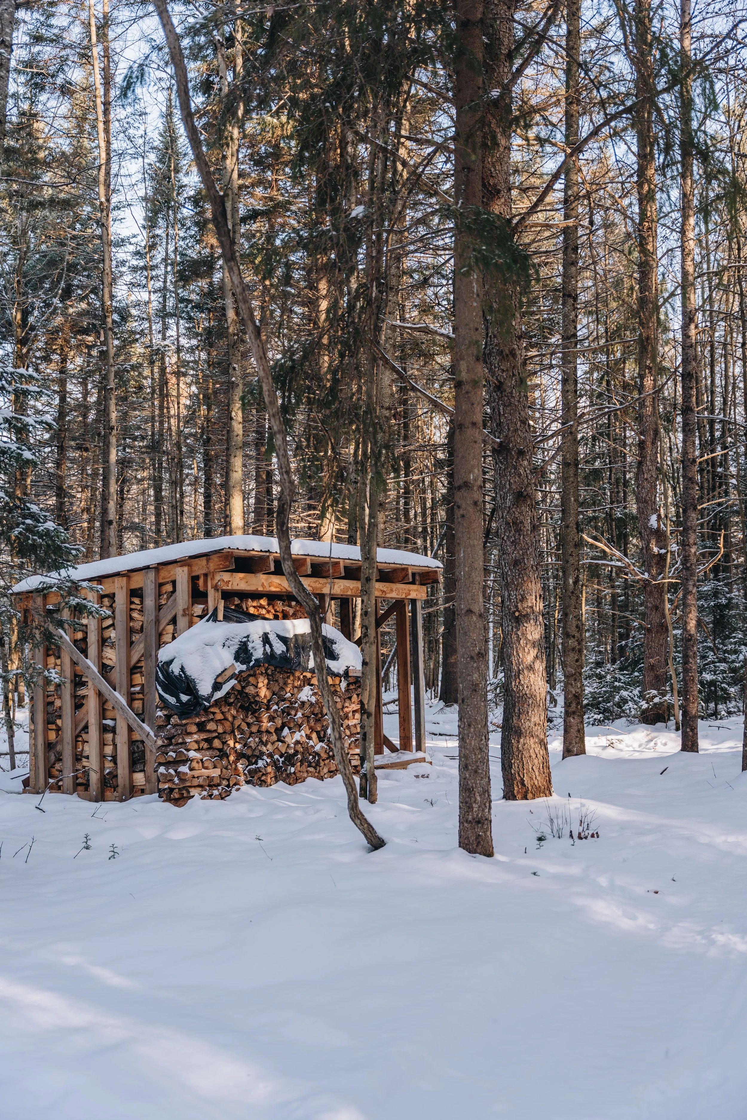 Parc Régional des Grandes-Coulées, chien, glamping sentier86.jpg