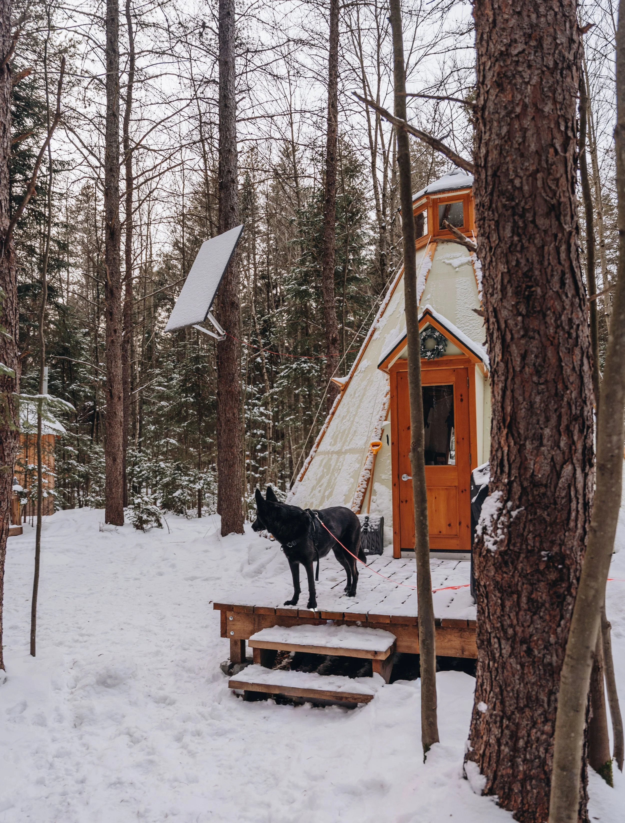 Parc Régional des Grandes-Coulées, chien, glamping sentier132.jpg