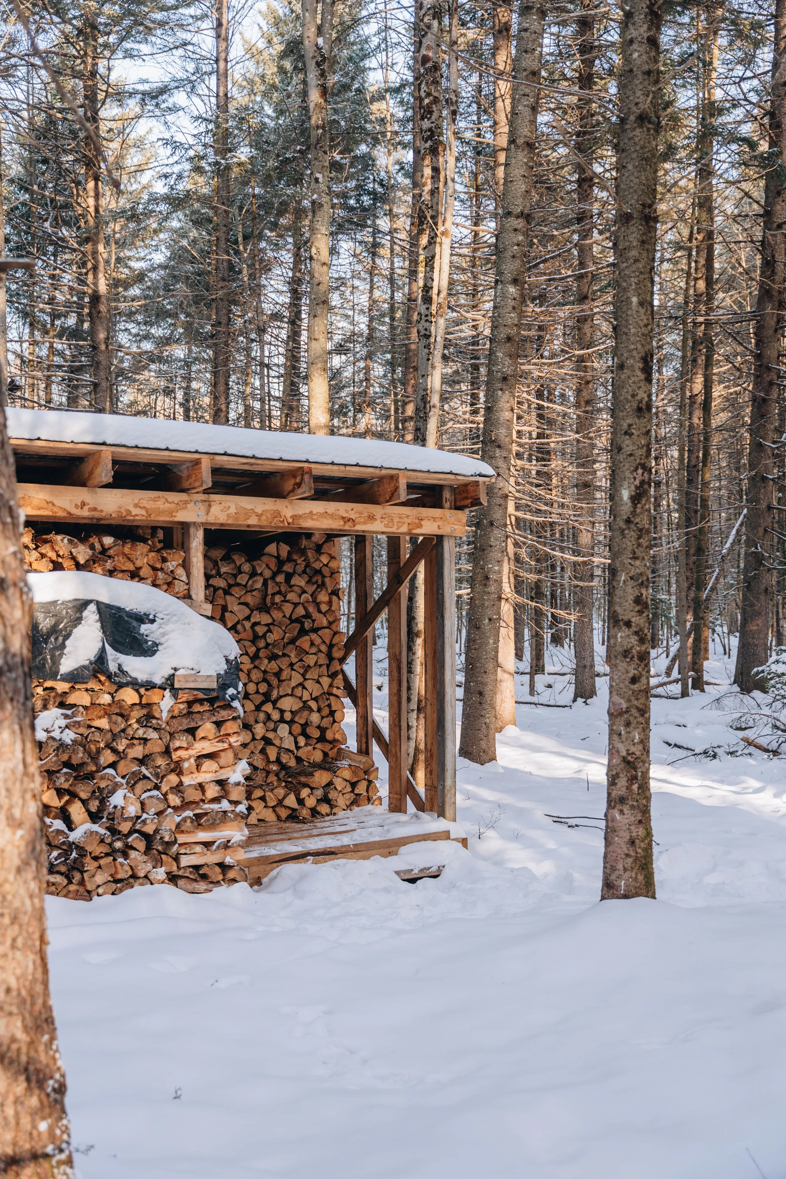 Parc Régional des Grandes-Coulées, chien, glamping sentier87.jpg