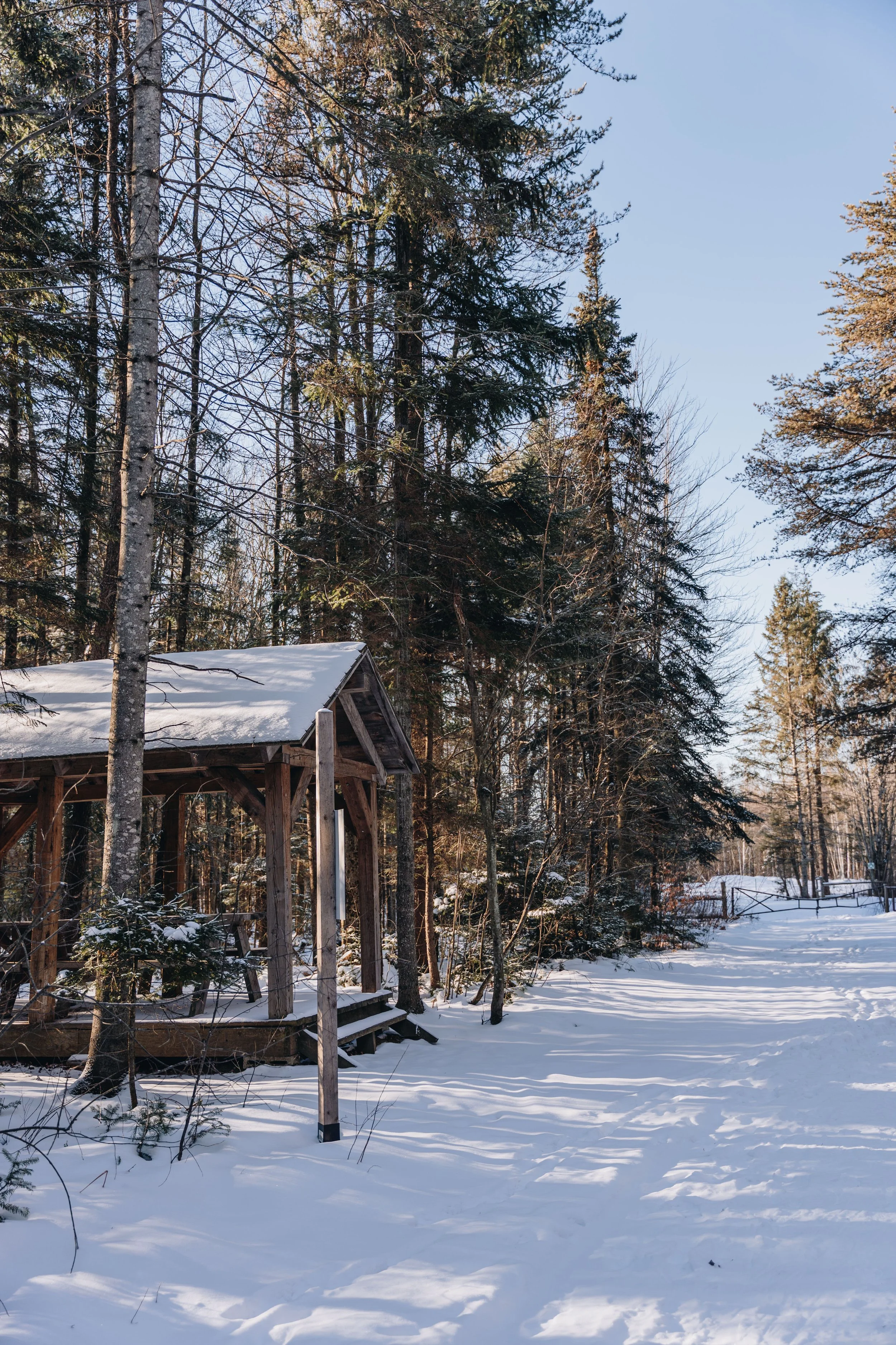 Parc Régional des Grandes-Coulées, chien, glamping sentier99.jpg