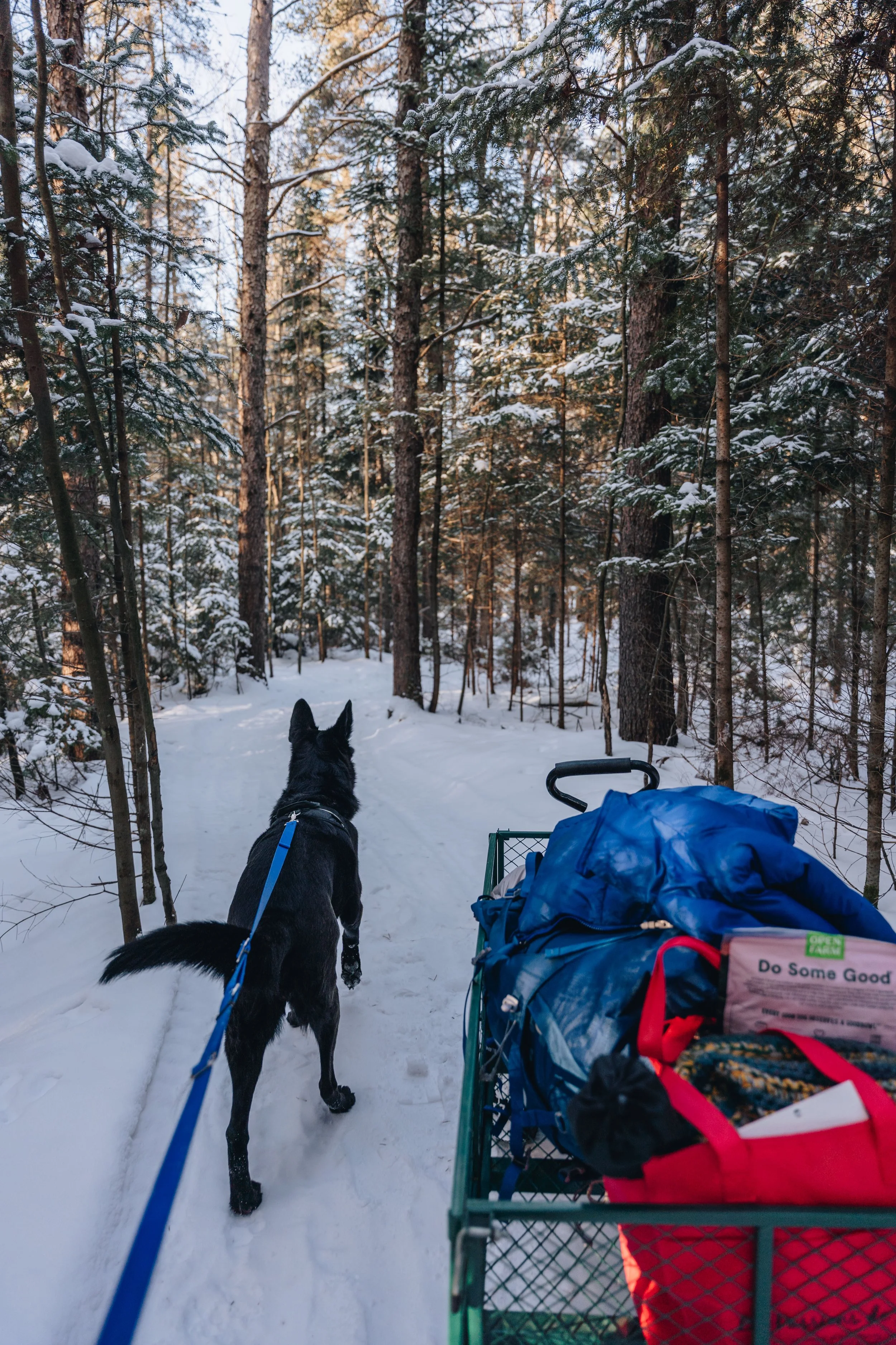 Parc Régional des Grandes-Coulées, chien, glamping sentier83.jpg