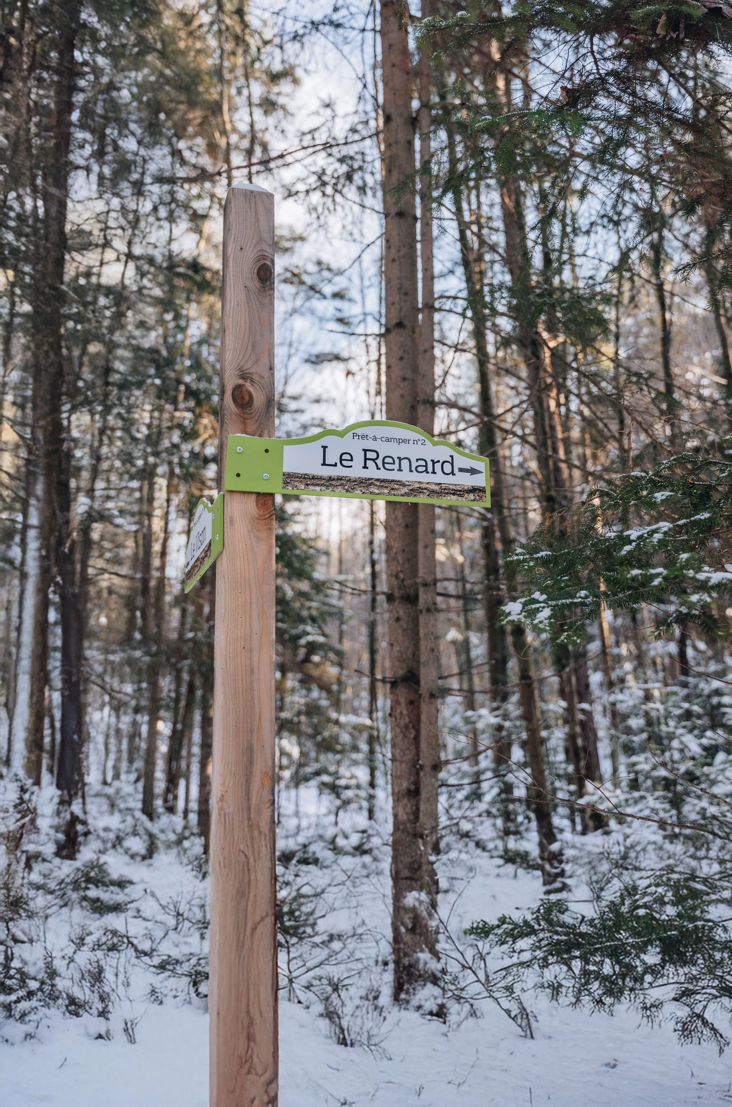 Parc Régional des Grandes-Coulées, chien, glamping sentier85.jpg