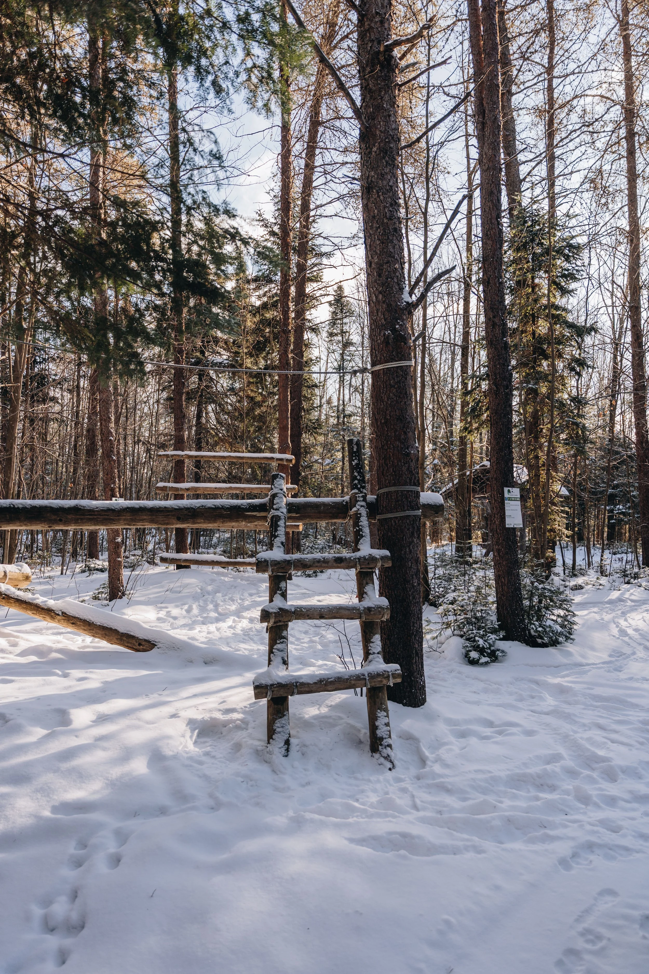 Parc Régional des Grandes-Coulées, chien, glamping sentier91.jpg