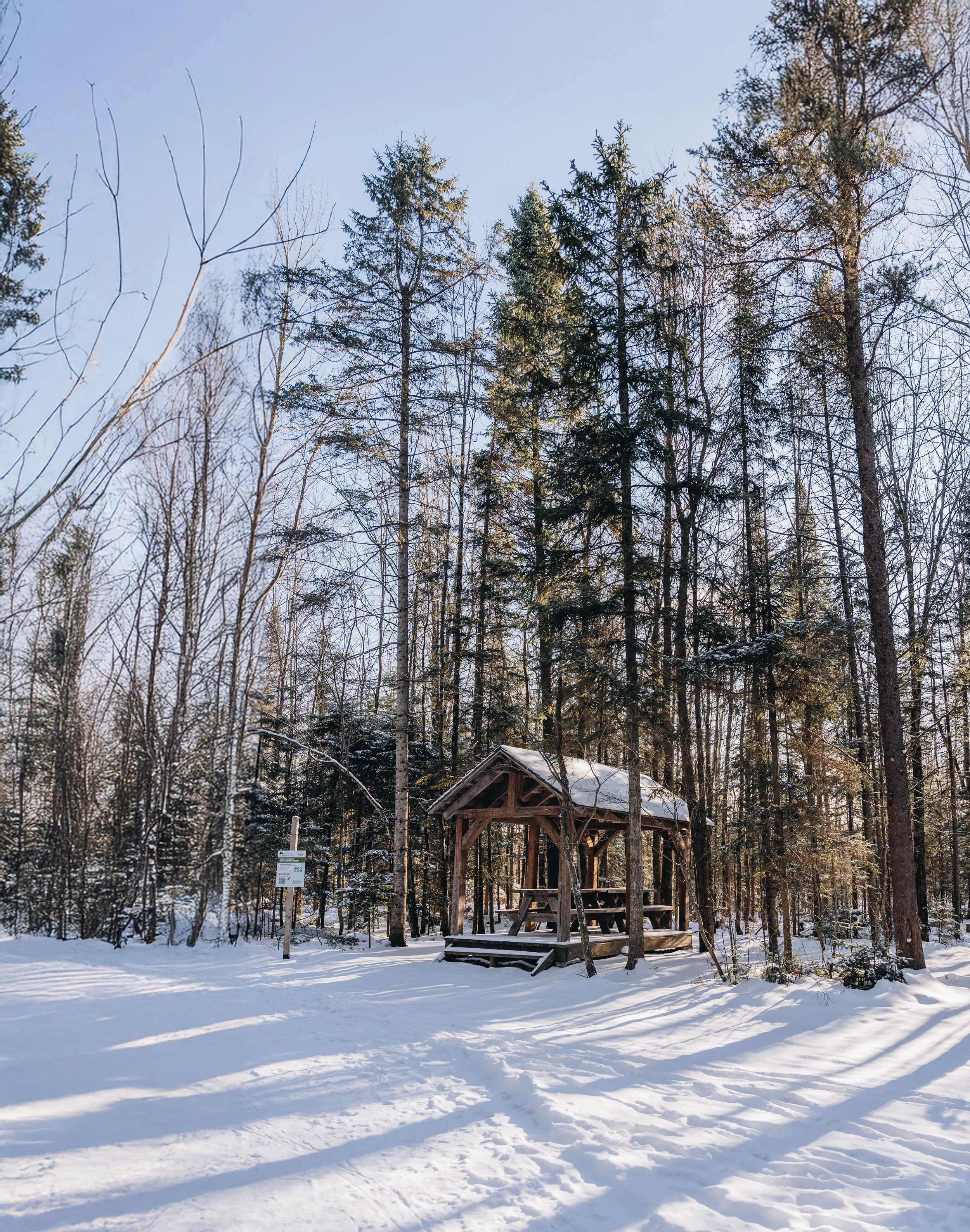 Parc Régional des Grandes-Coulées, chien, glamping sentier98.jpg