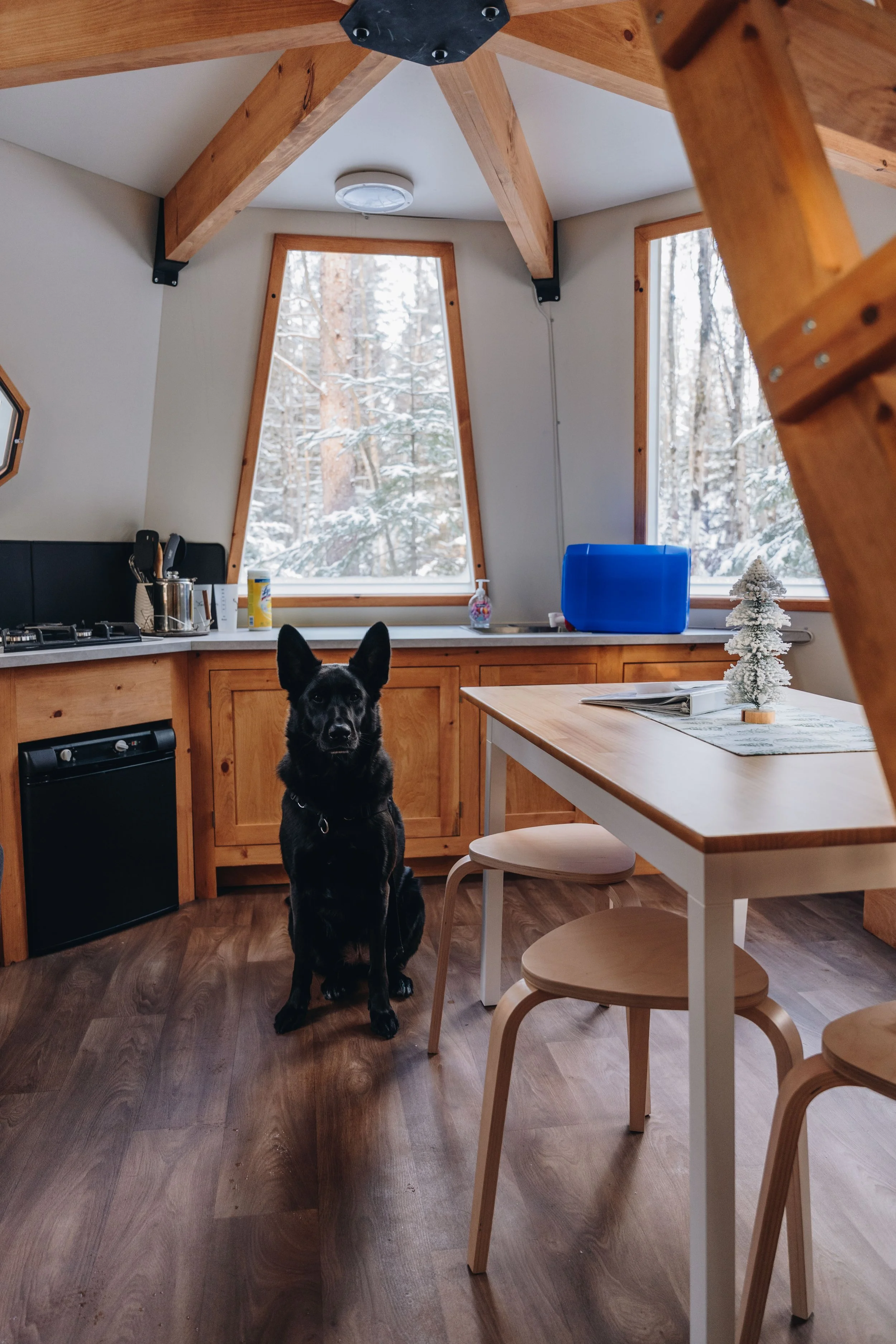 Parc Régional des Grandes-Coulées, chien, glamping sentier65.jpg