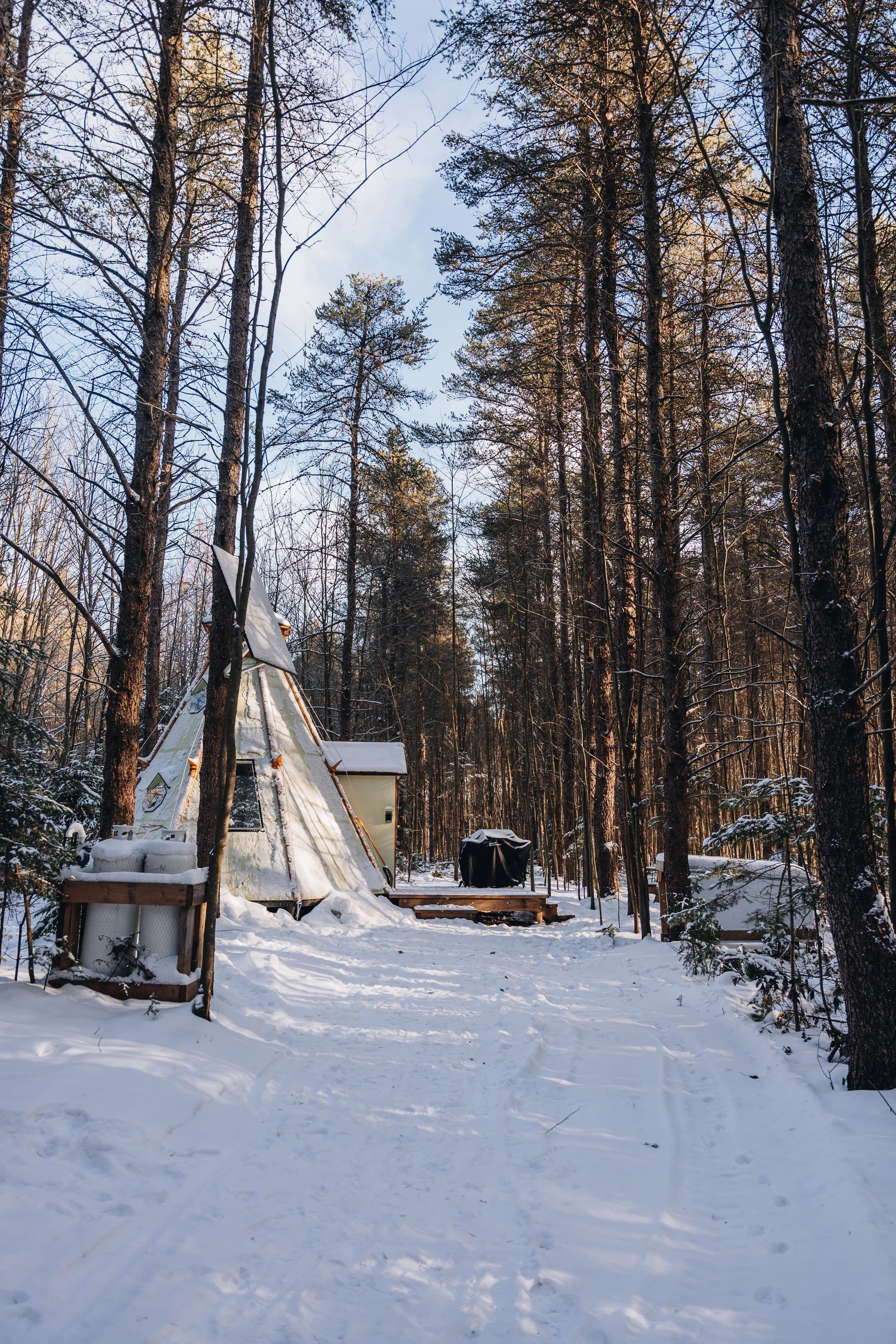 Parc Régional des Grandes-Coulées, chien, glamping sentier81.jpg
