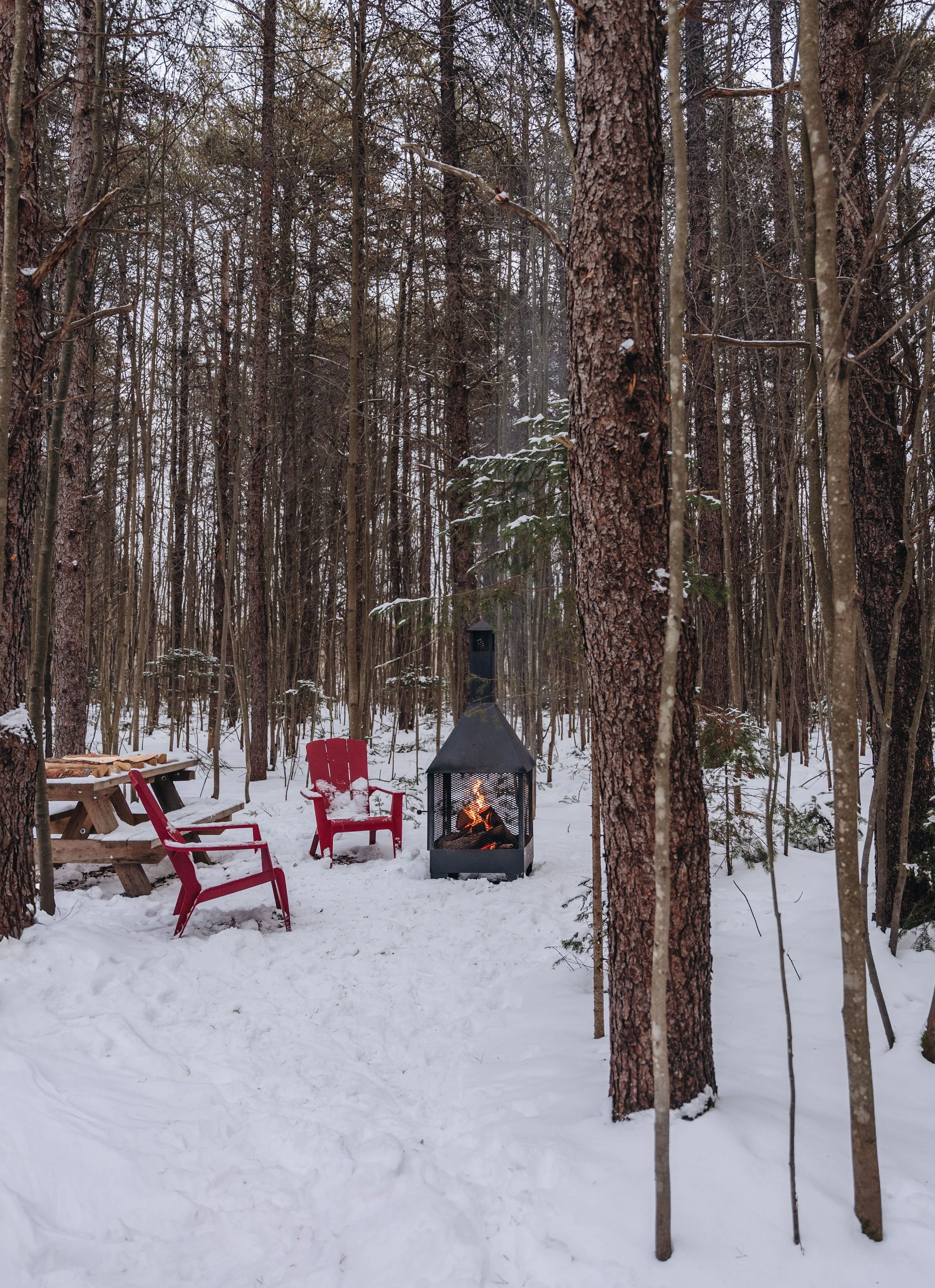 Parc Régional des Grandes-Coulées, chien, glamping sentier126.jpg