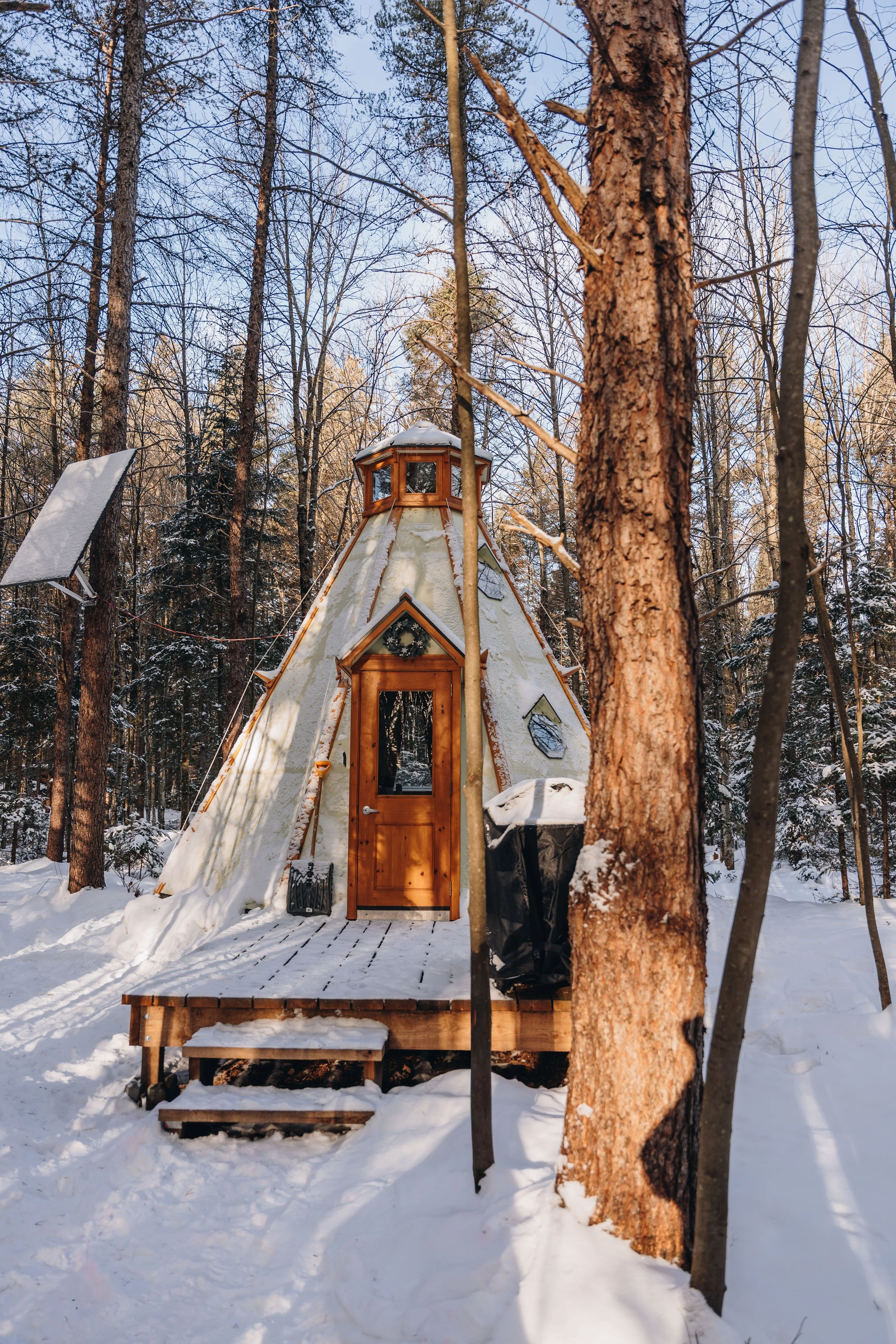 [Centre-du-Québec, Plessisville] Parc Régional des Grandes-Coulées, secteur Forêt ancienne