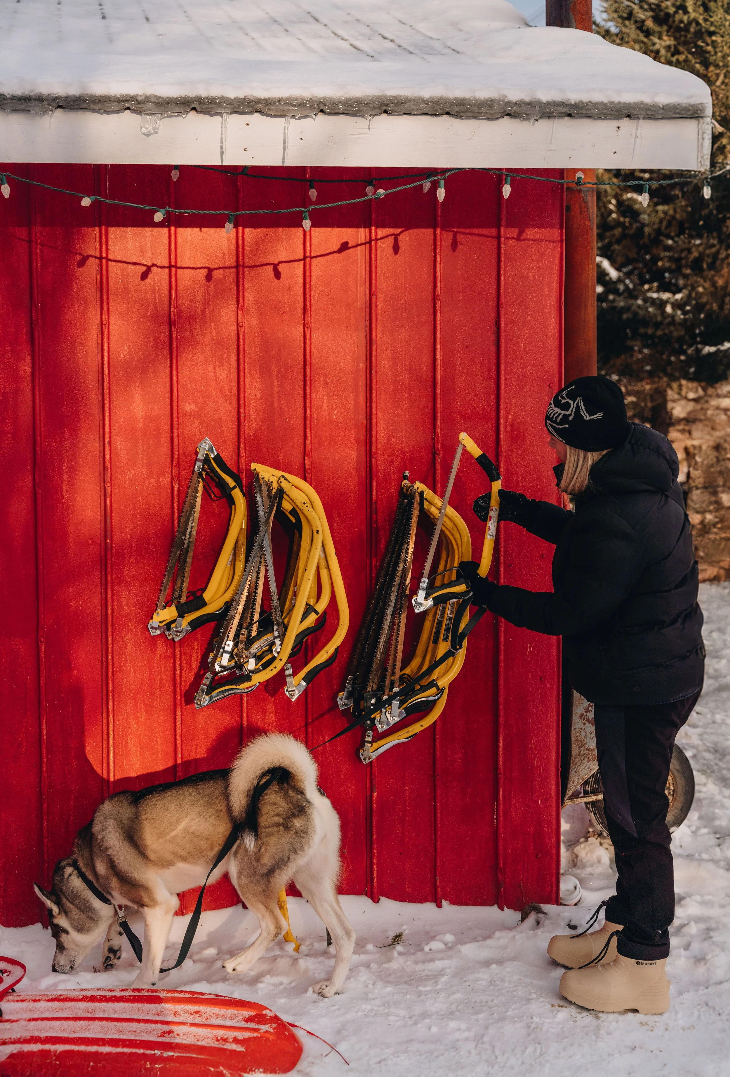 onvasepromener-noel-sapin-mondou 134.jpg