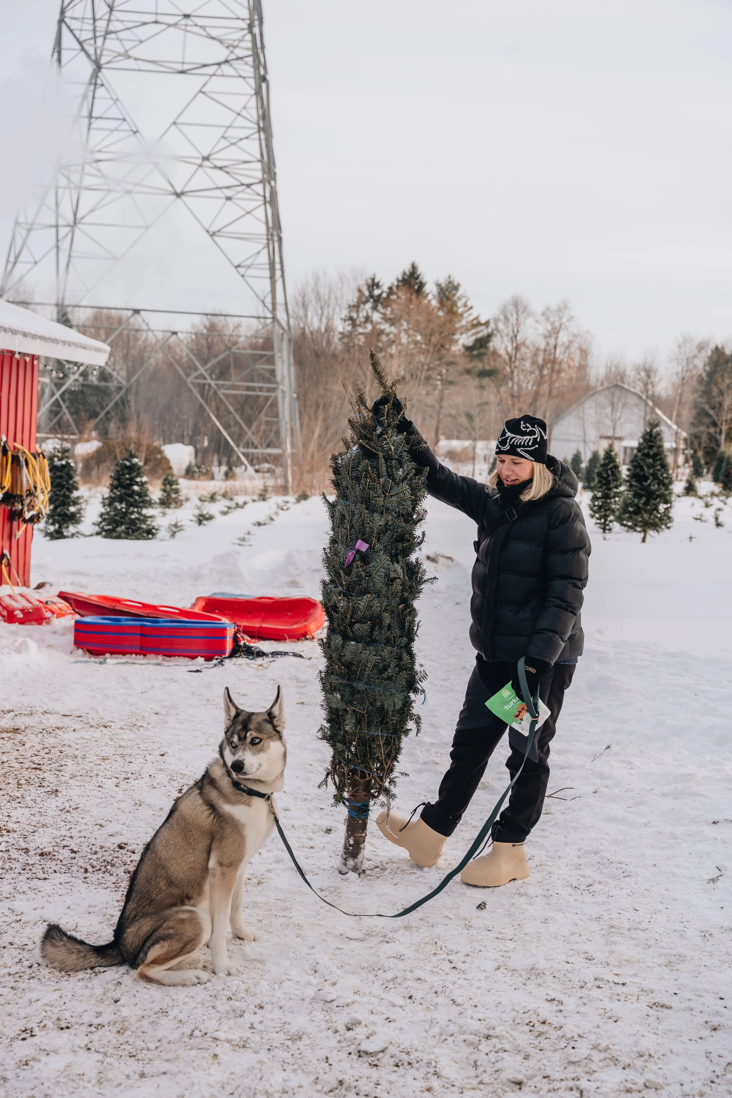 onvasepromener-noel-sapin-mondou 181.jpg