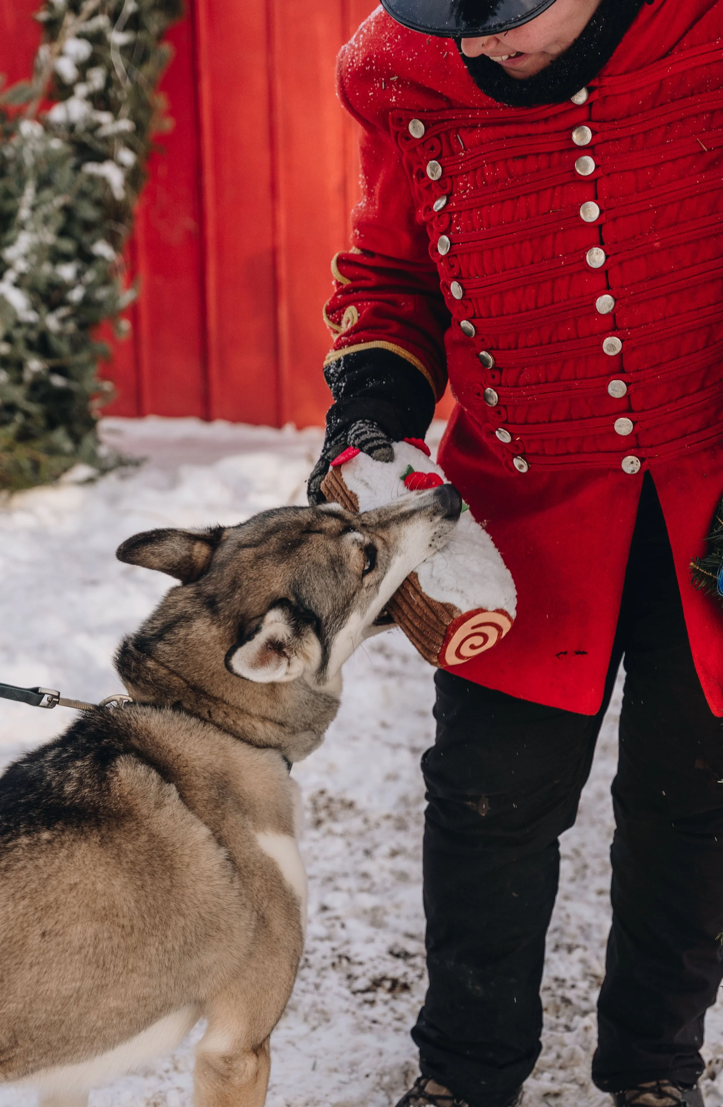 onvasepromener-noel-sapin-mondou 211.jpg
