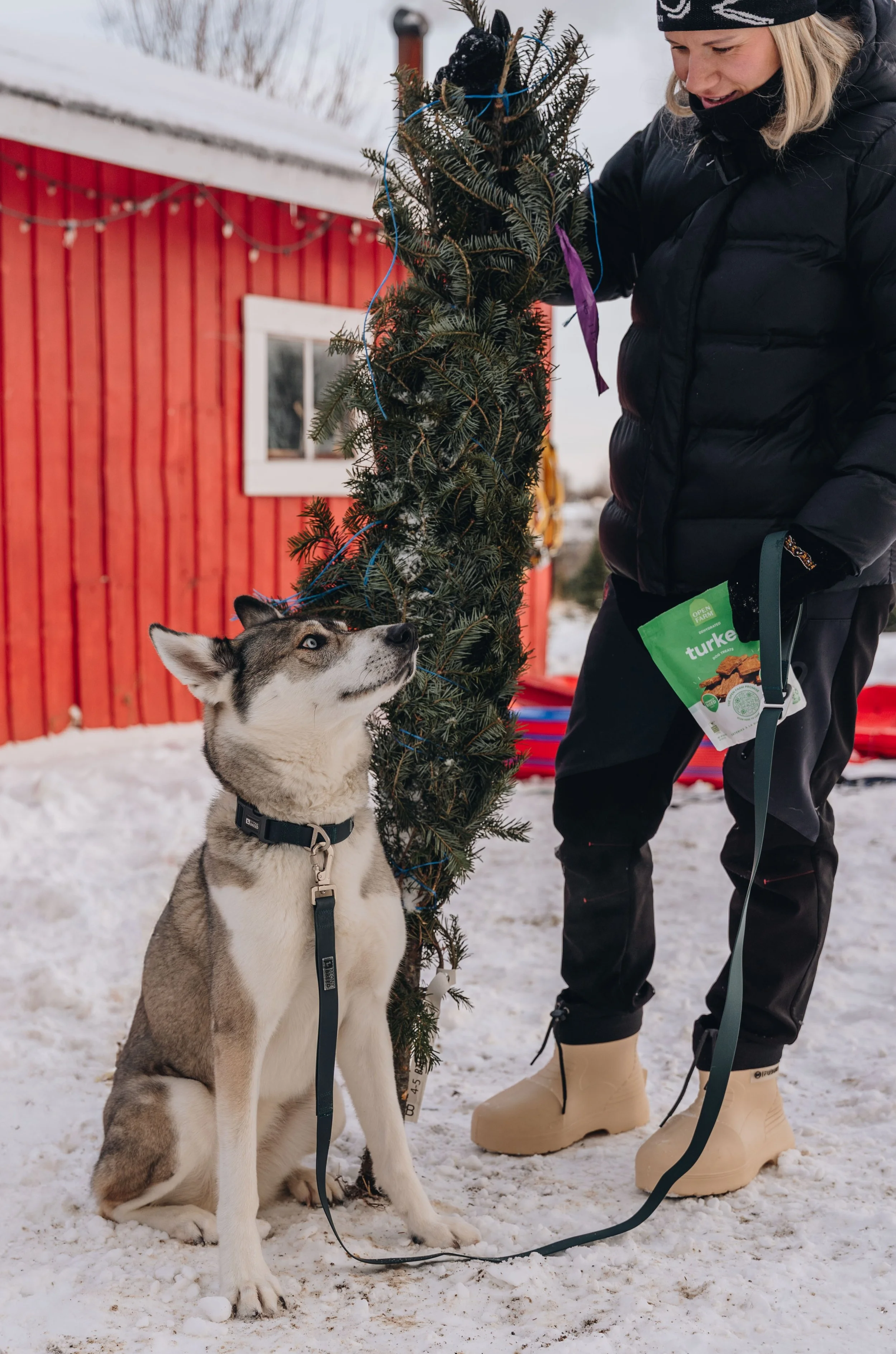 onvasepromener-noel-sapin-mondou 172.jpg
