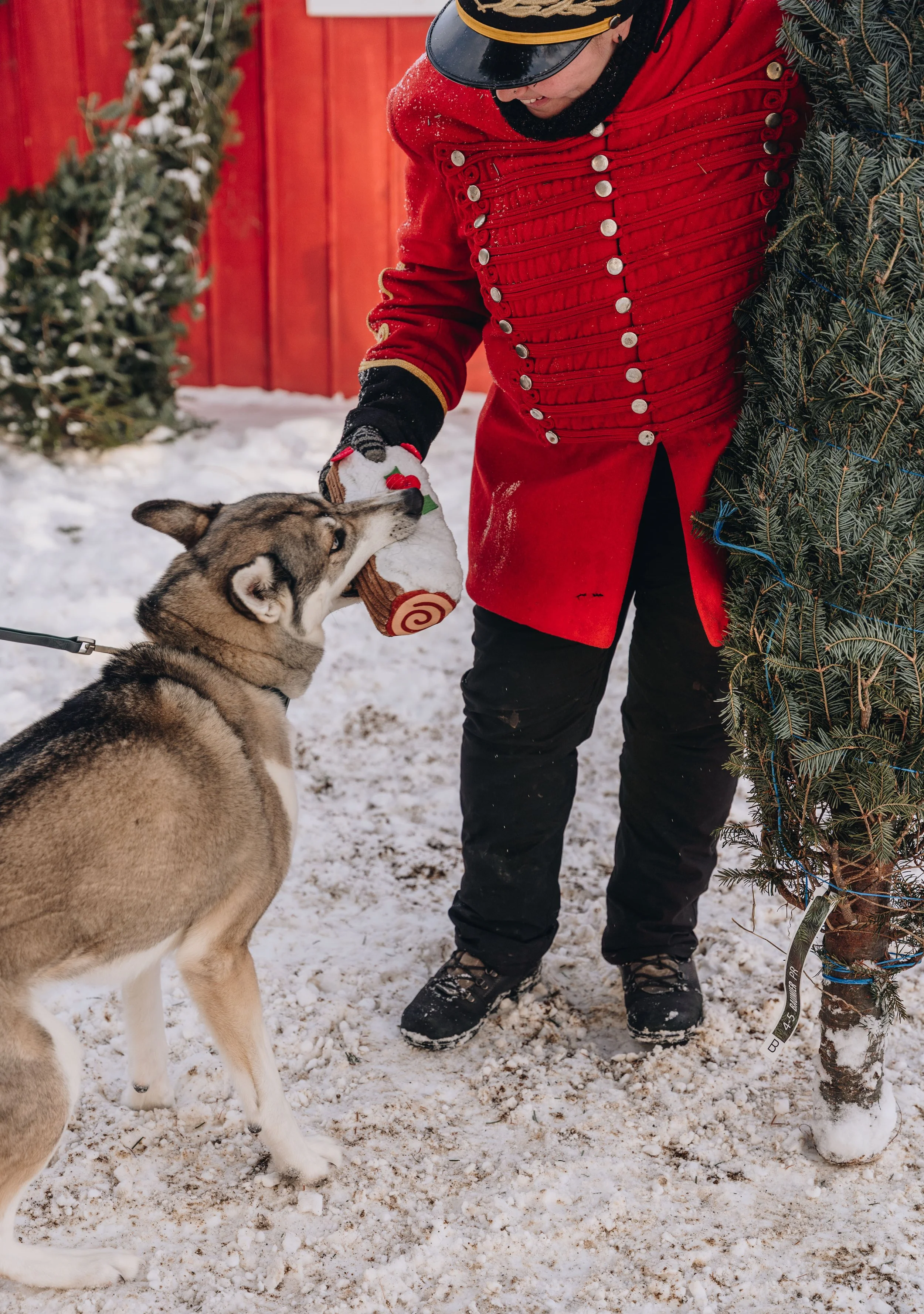 onvasepromener-noel-sapin-mondou 212.jpg