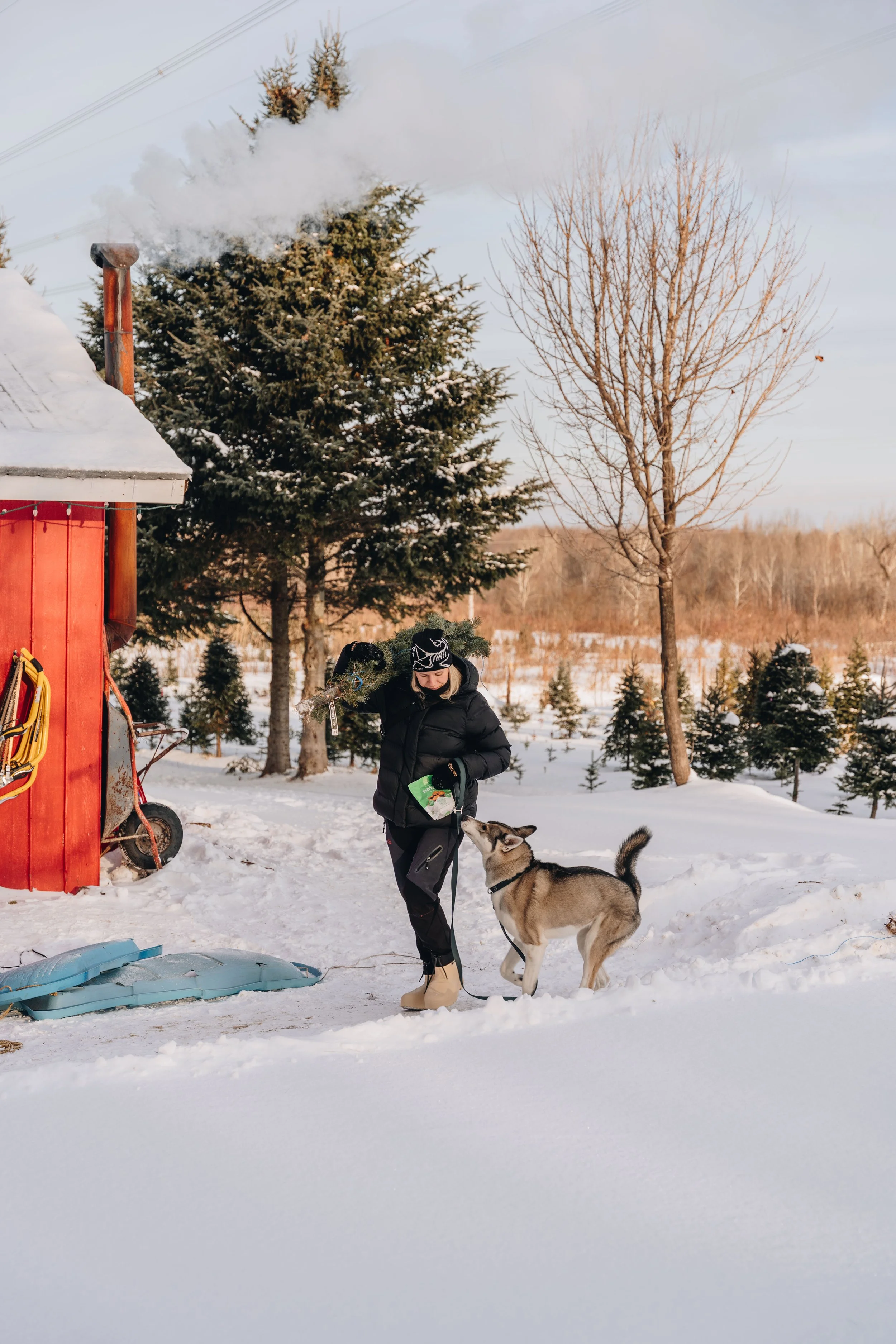[Chaudière-Appalaches, Saint-Jean-Chrysostome] BôSapin autoceuillette