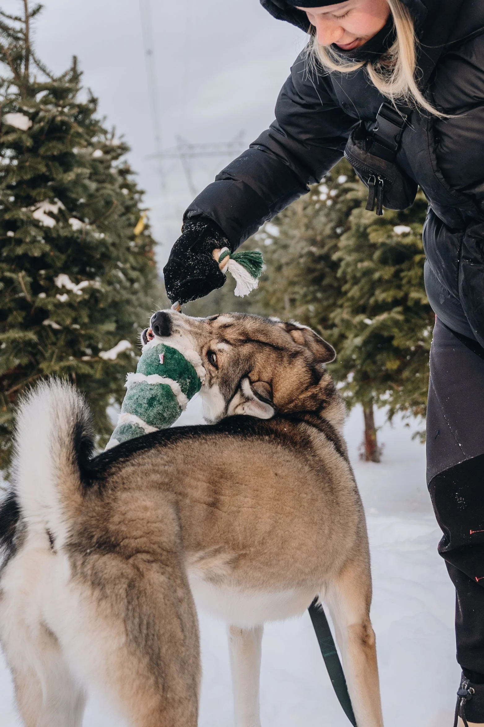 onvasepromener-noel-sapin-mondou 37.jpg