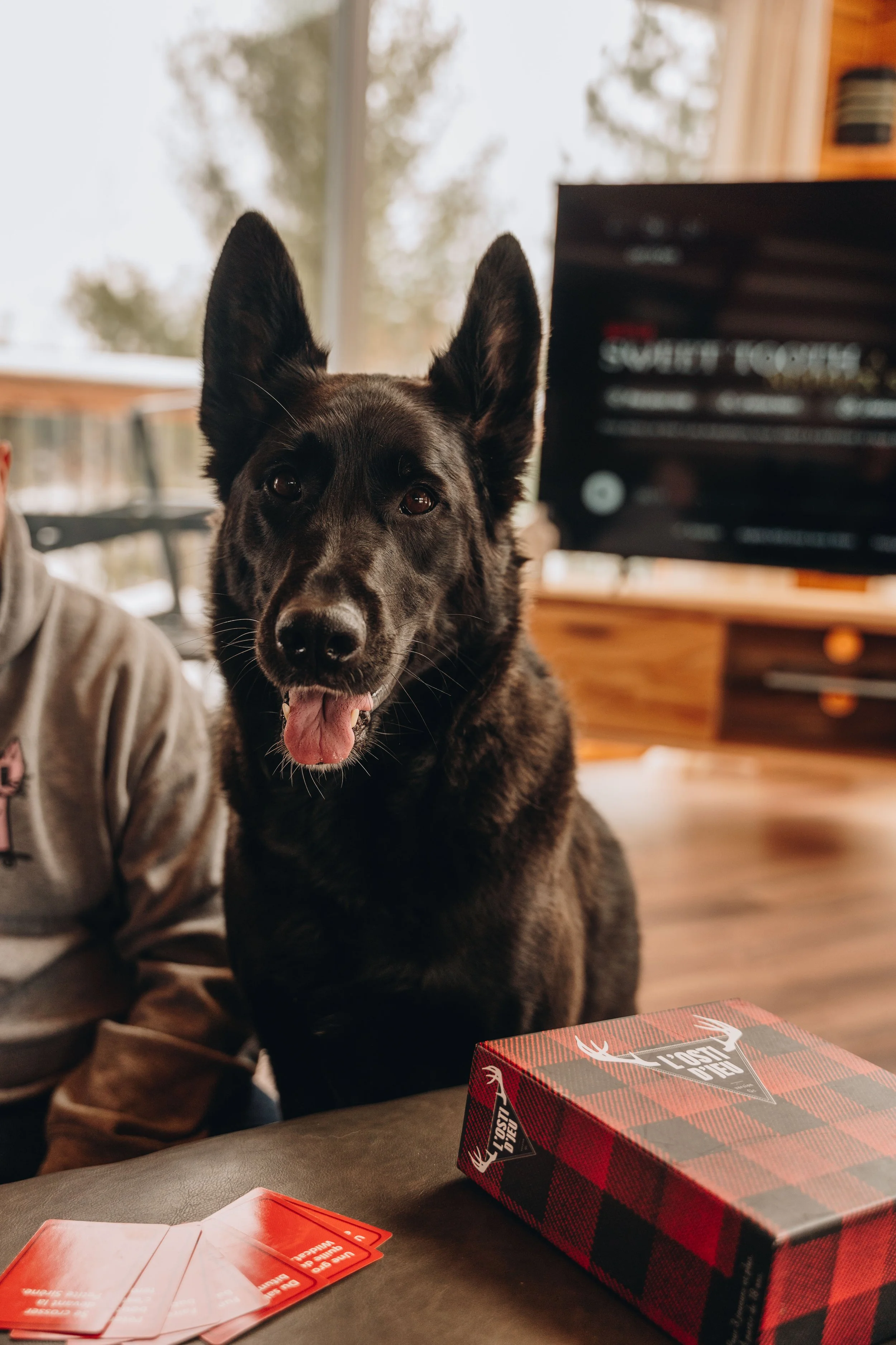 onvasepromener_le Selve_s26.jpg