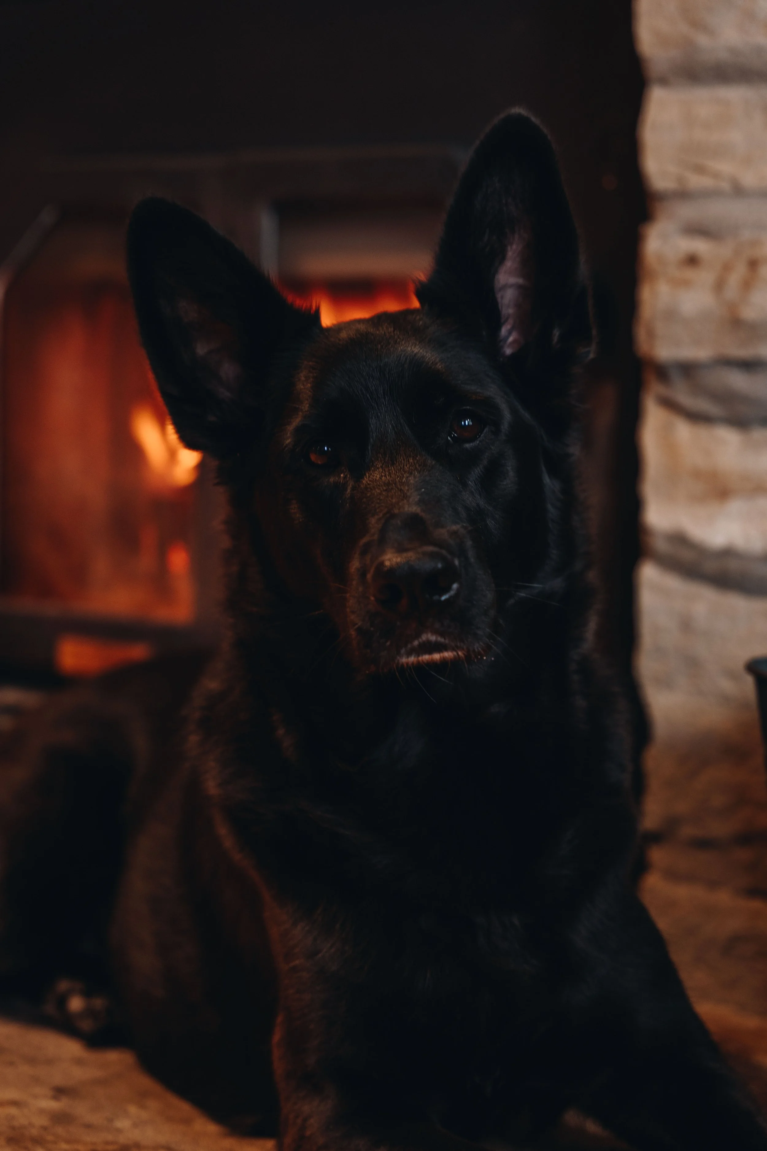 onvasepromener_le Selve_sam32.jpg