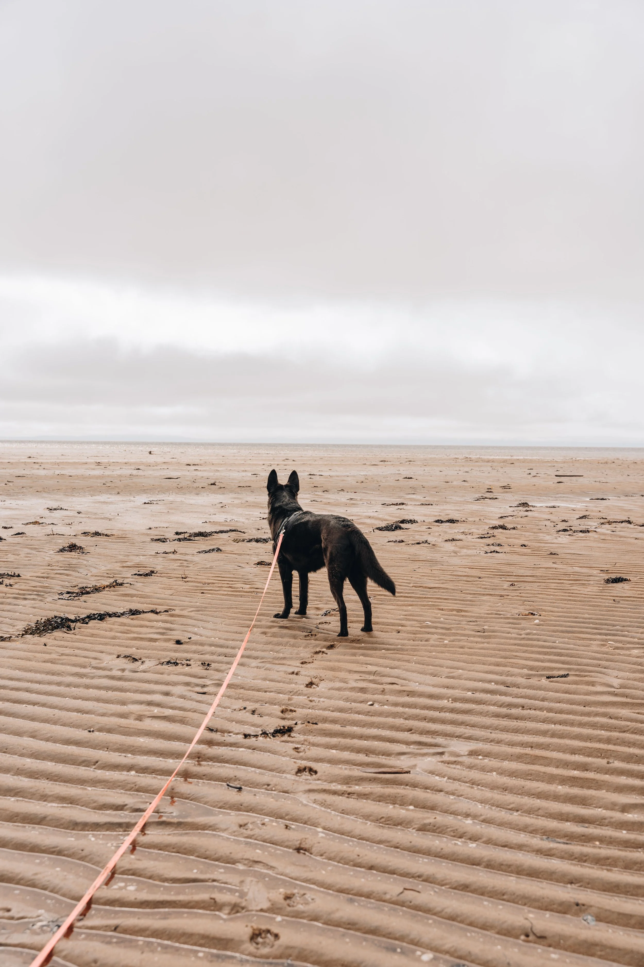 Bilan de notre année 2025