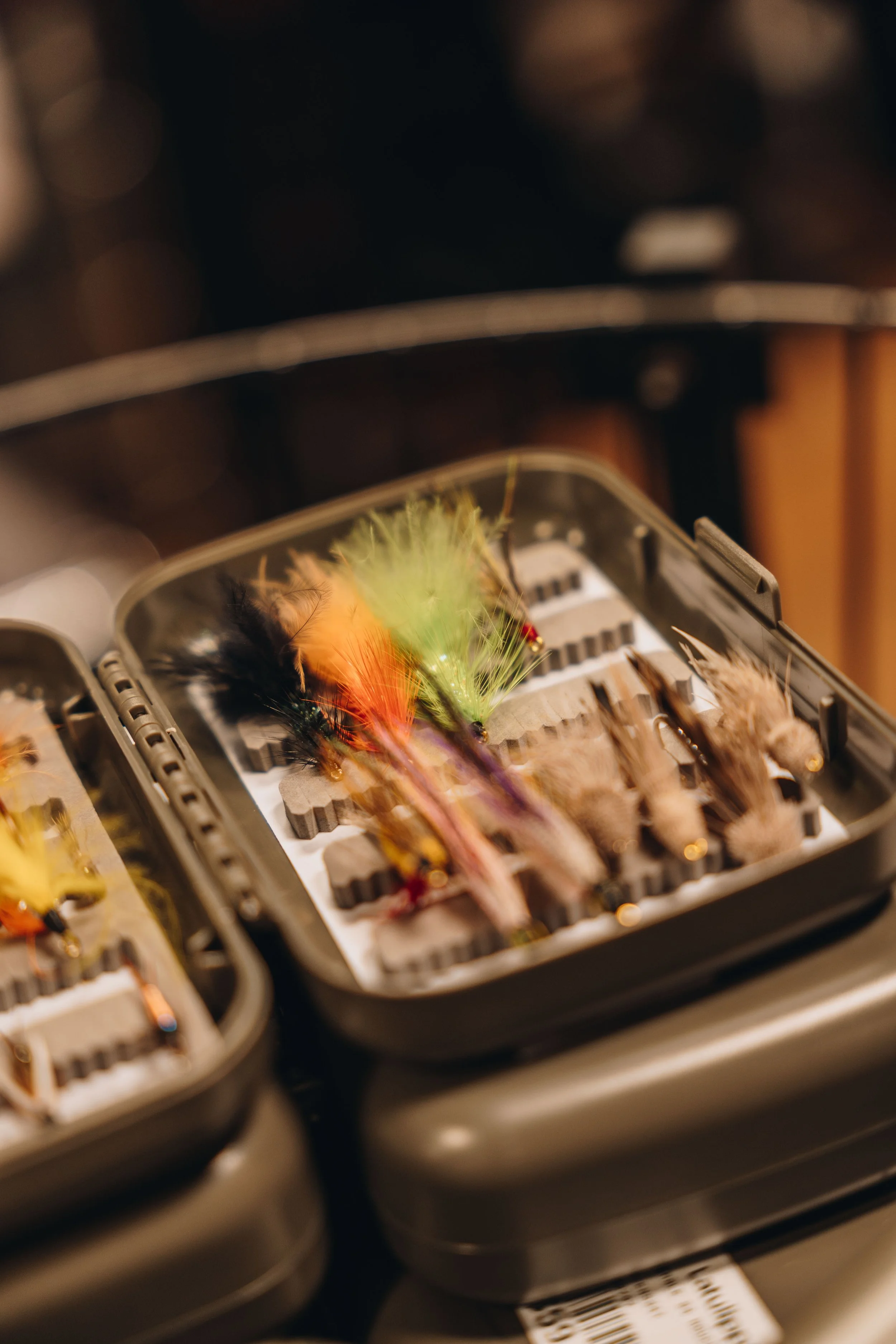 latulippe lévis chien boutique plein air 8.jpg