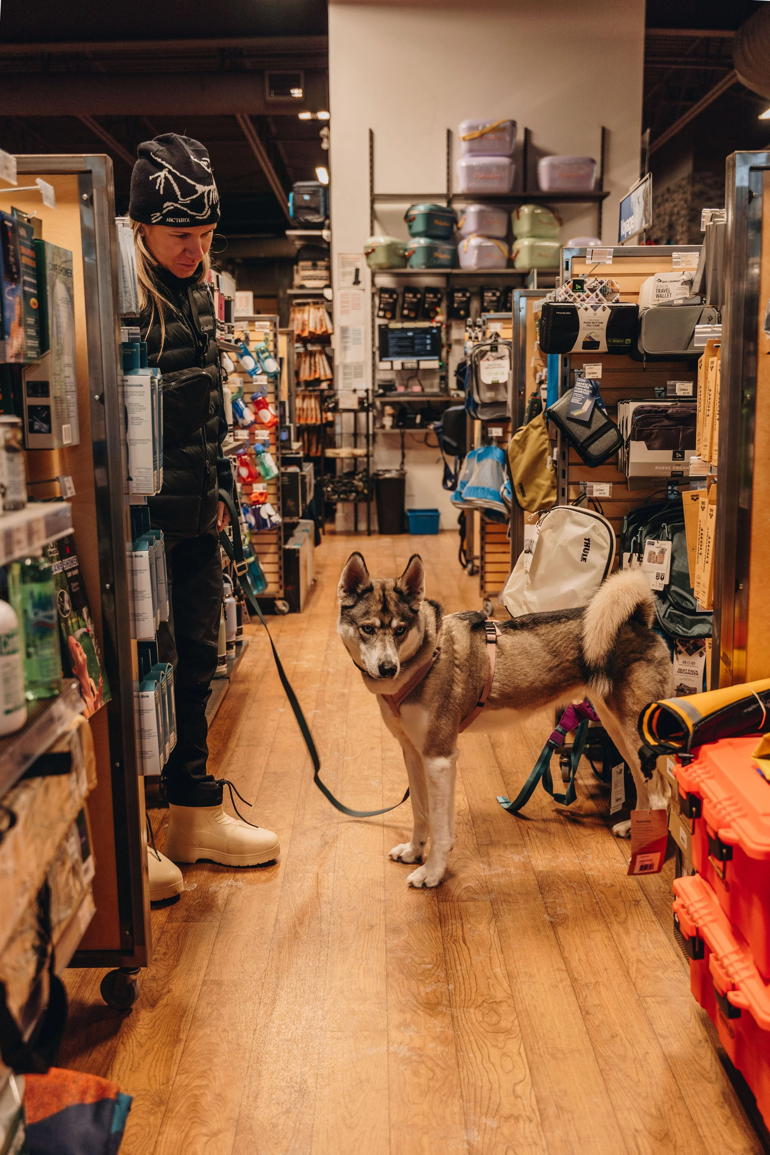 latulippe lévis chien boutique plein air 19.jpg