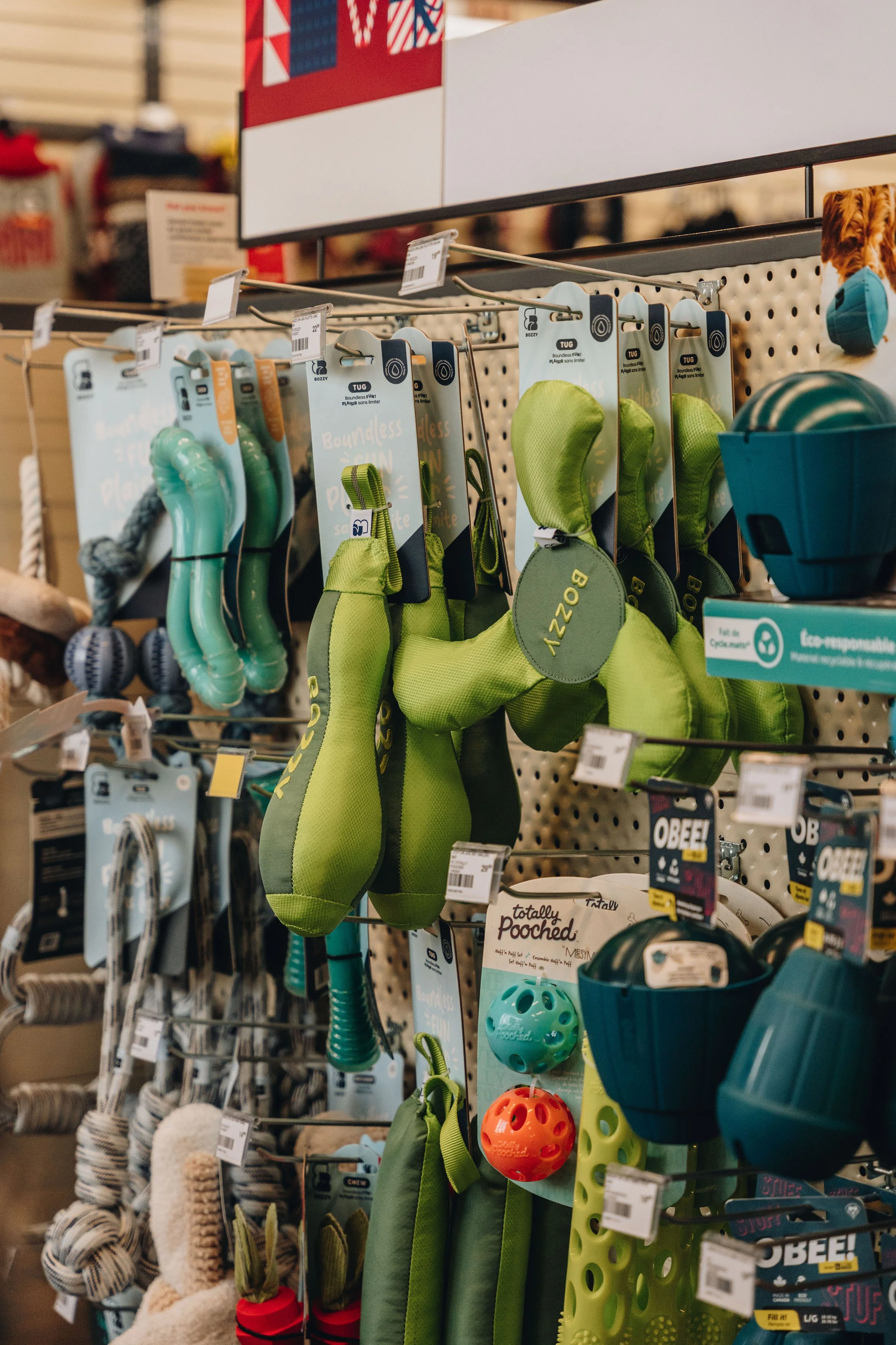 moudou animalerie lévis chien 19.jpg