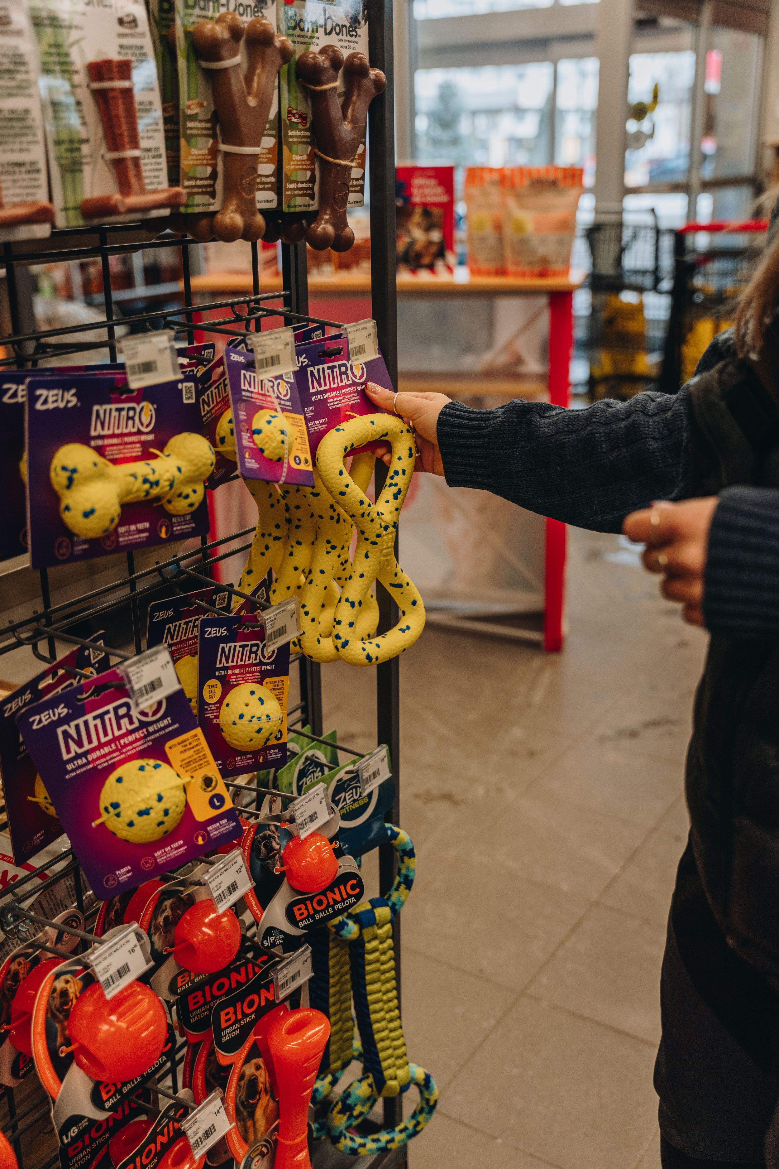 moudou animalerie lévis chien 9.jpg