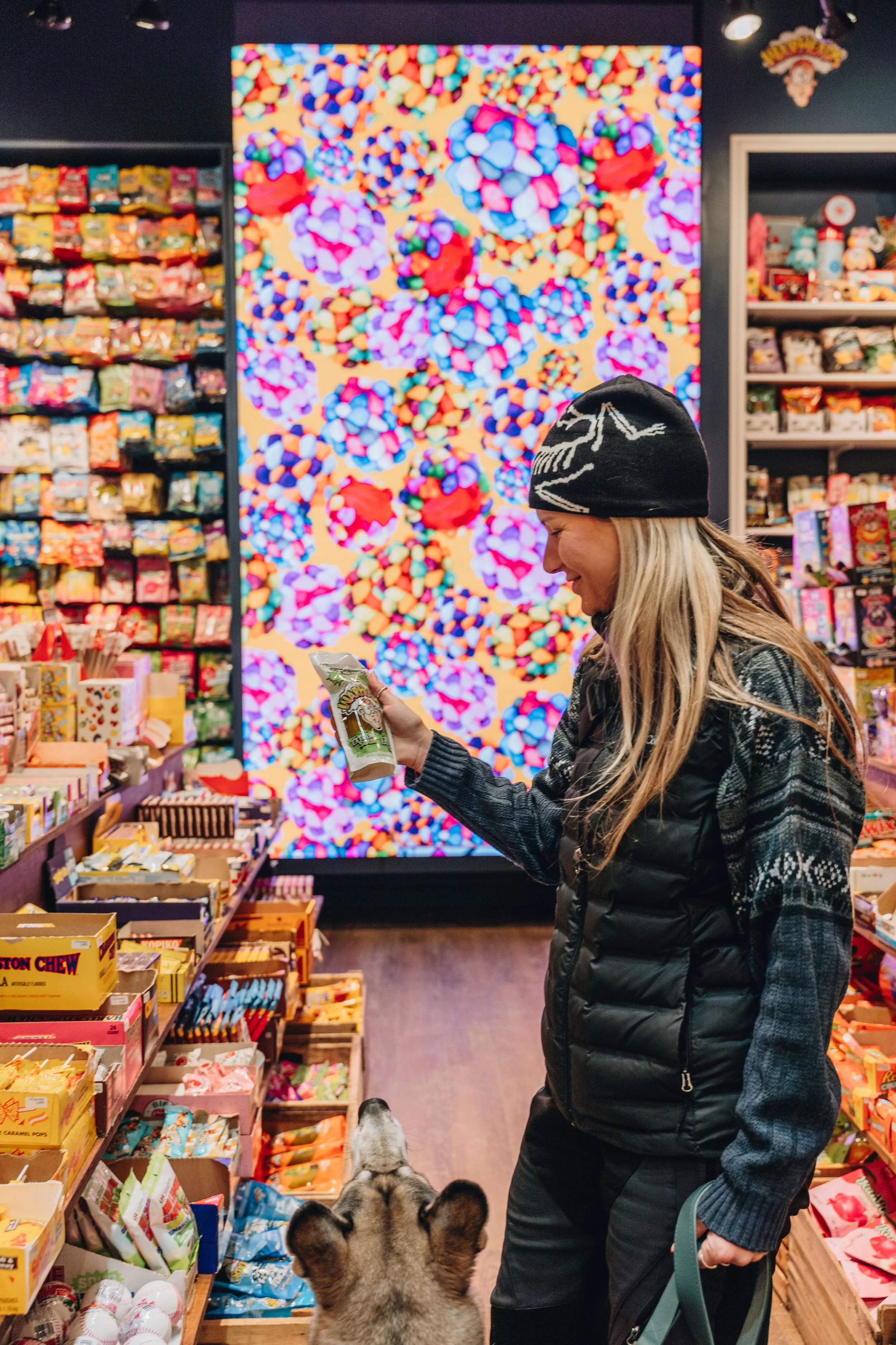 commere magasin bonbon lévis chien boutique13.jpg