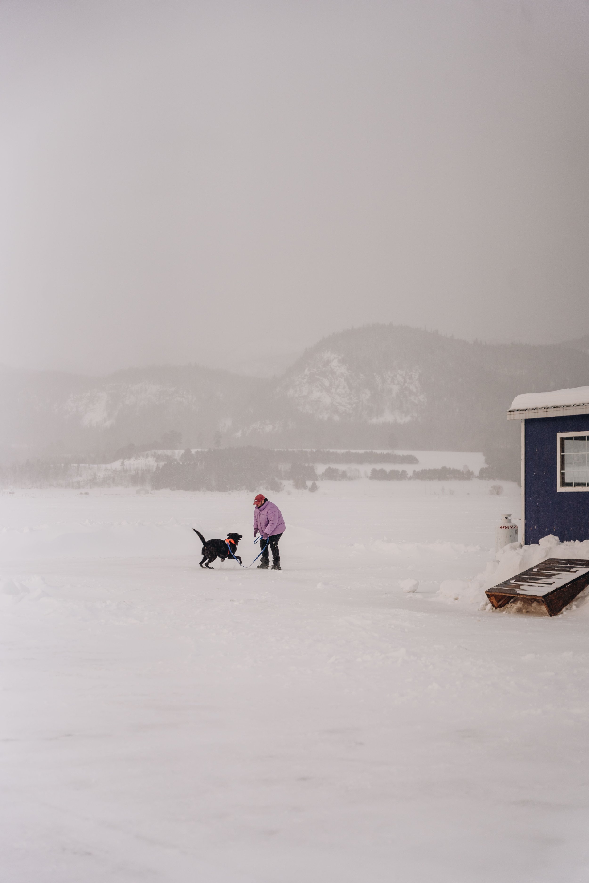 peche blanche l'anse saint jean chien (4).jpg