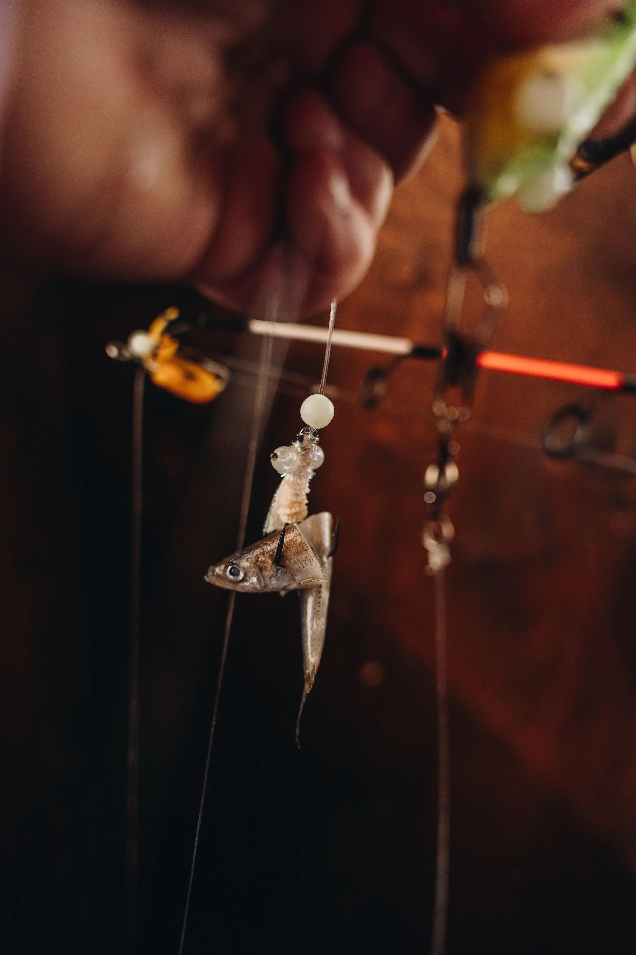 peche blanche l'anse saint jean chien (12).jpg