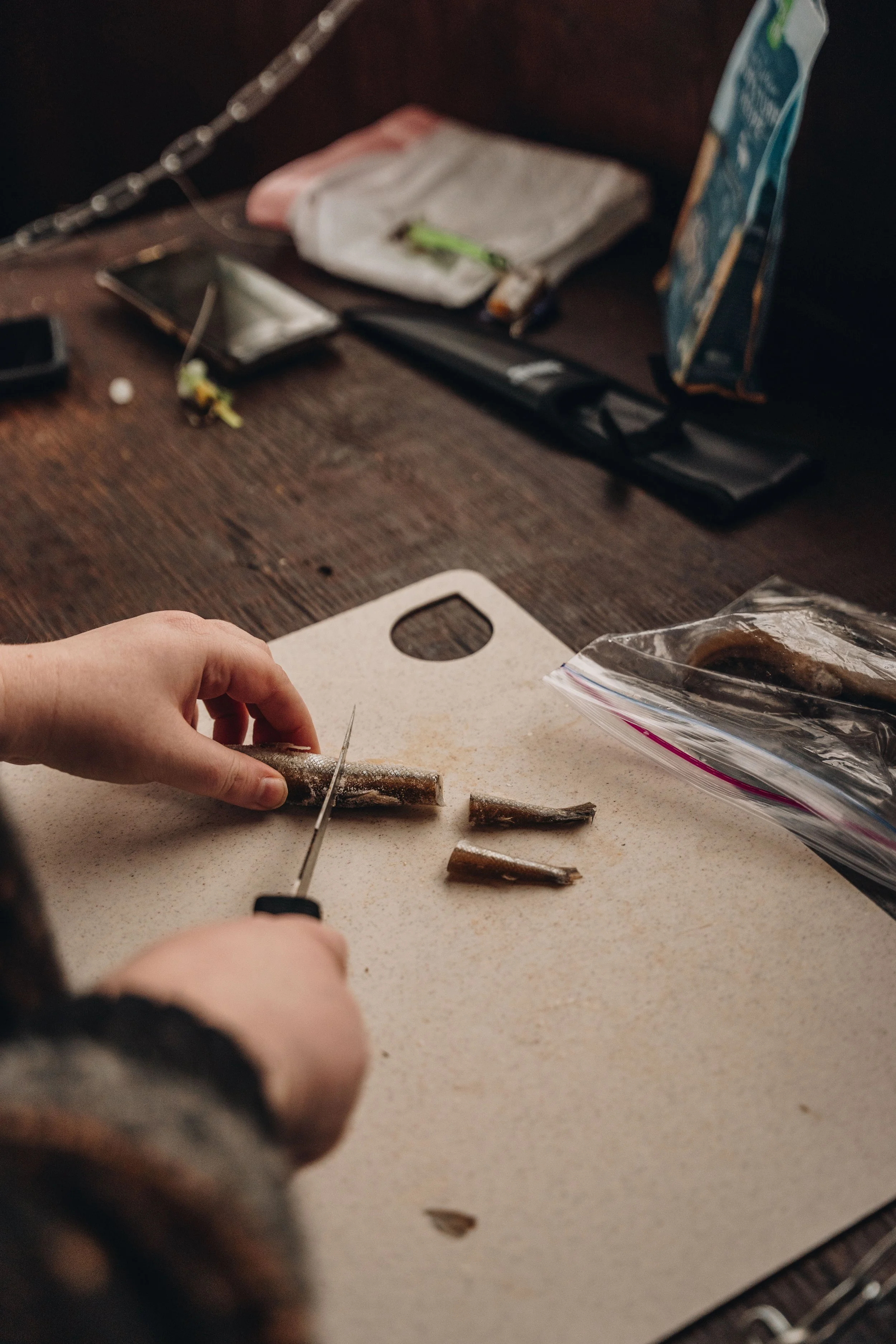 peche blanche l'anse saint jean chien (40).jpg