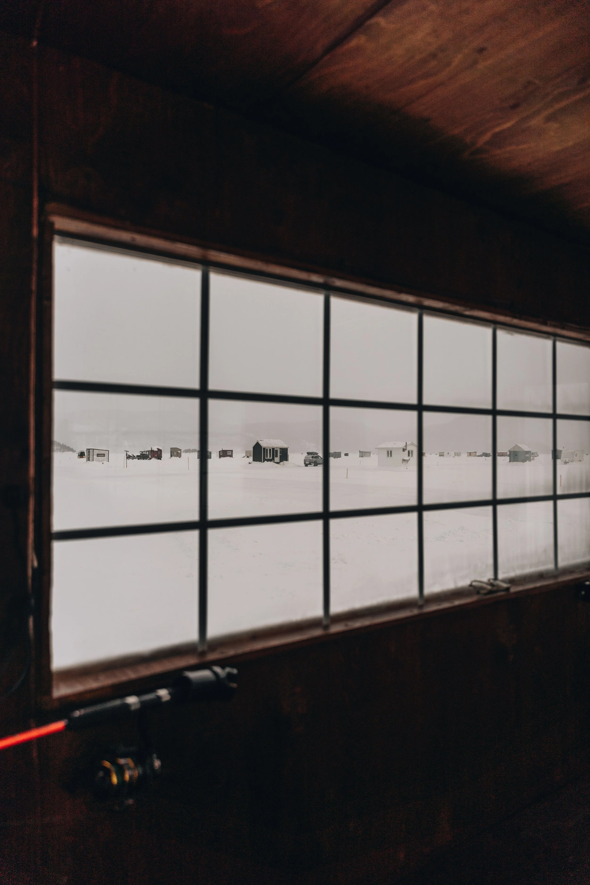 peche blanche l'anse saint jean chien (39).jpg