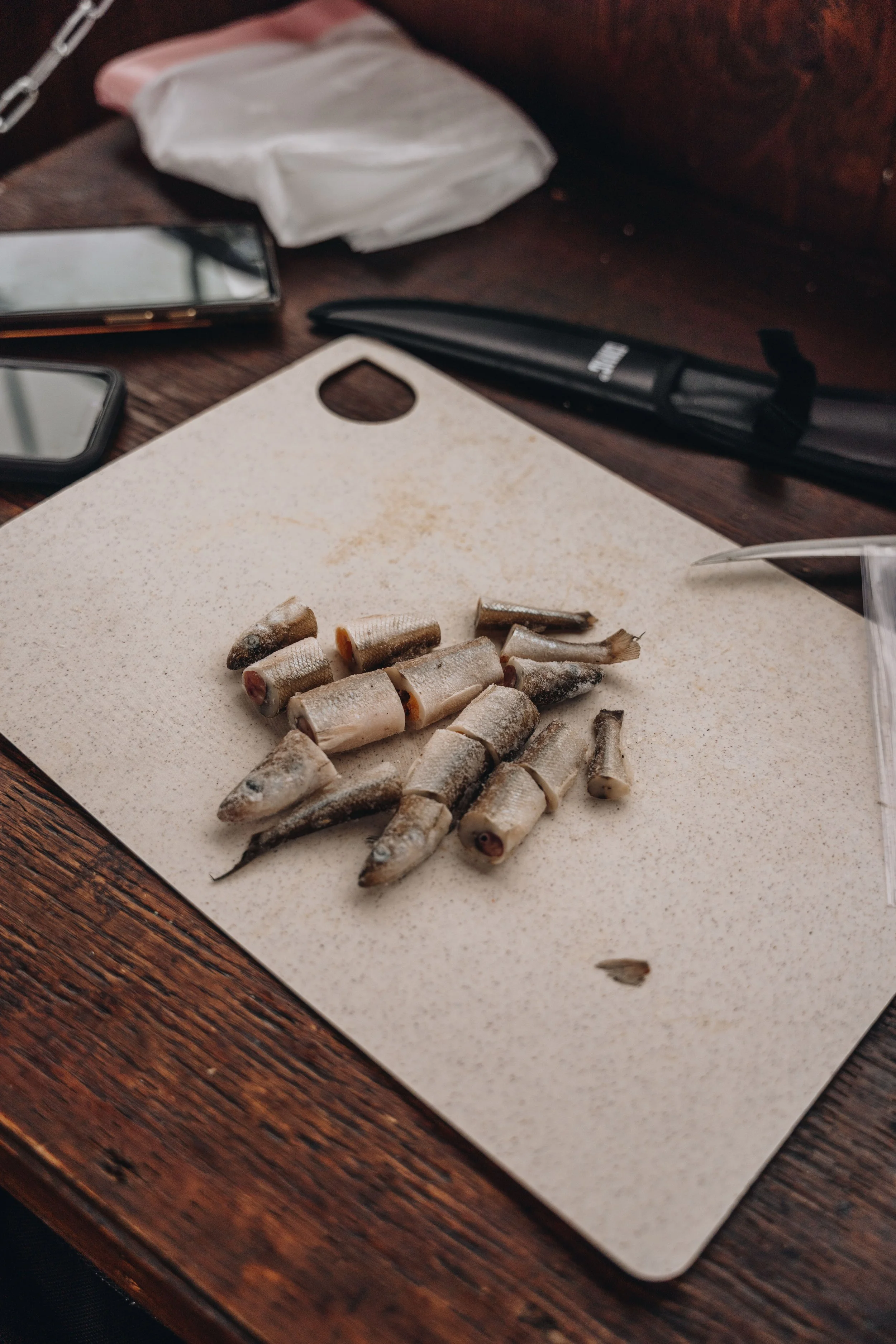 peche blanche l'anse saint jean chien (55).jpg