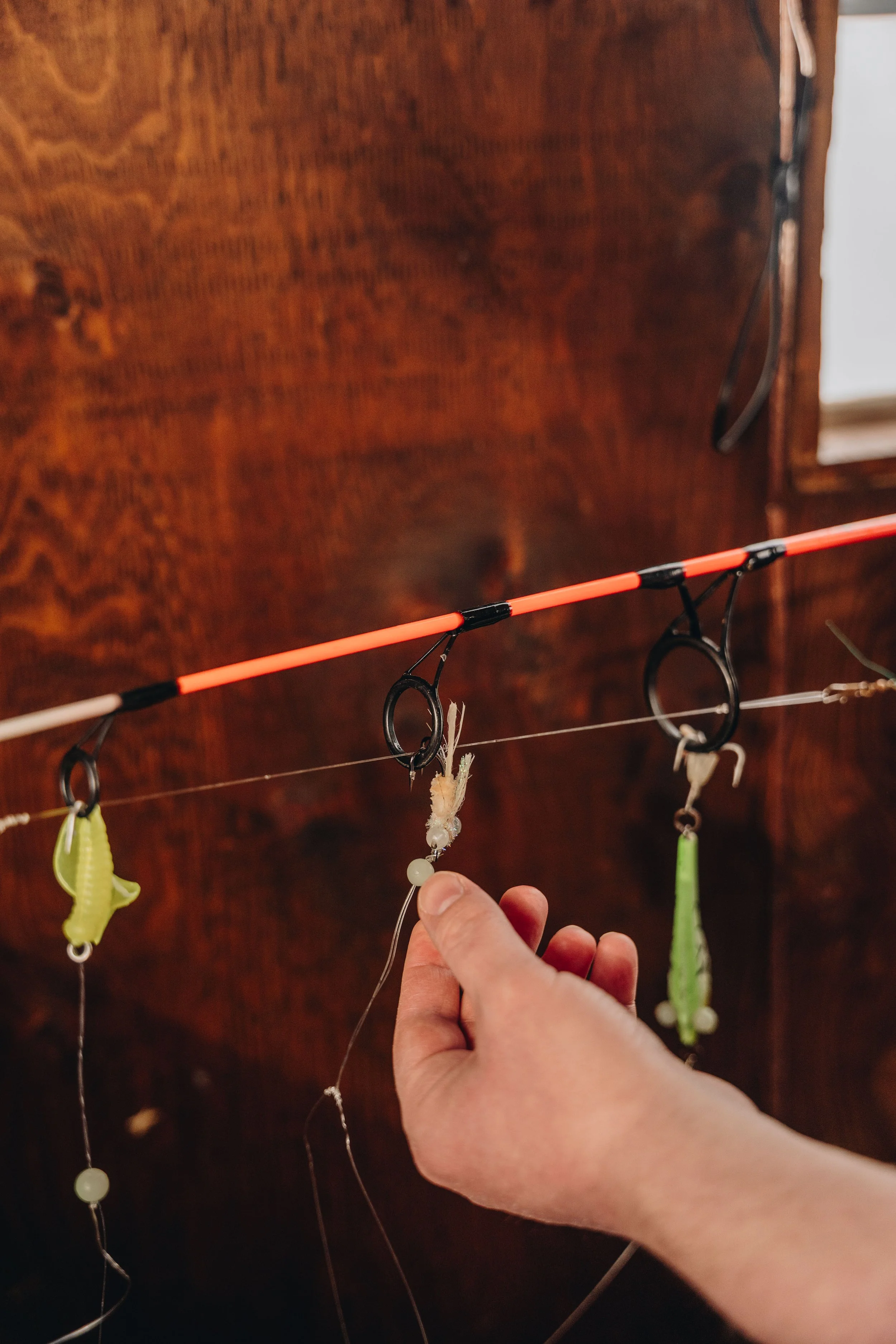 peche blanche l'anse saint jean chien (11).jpg