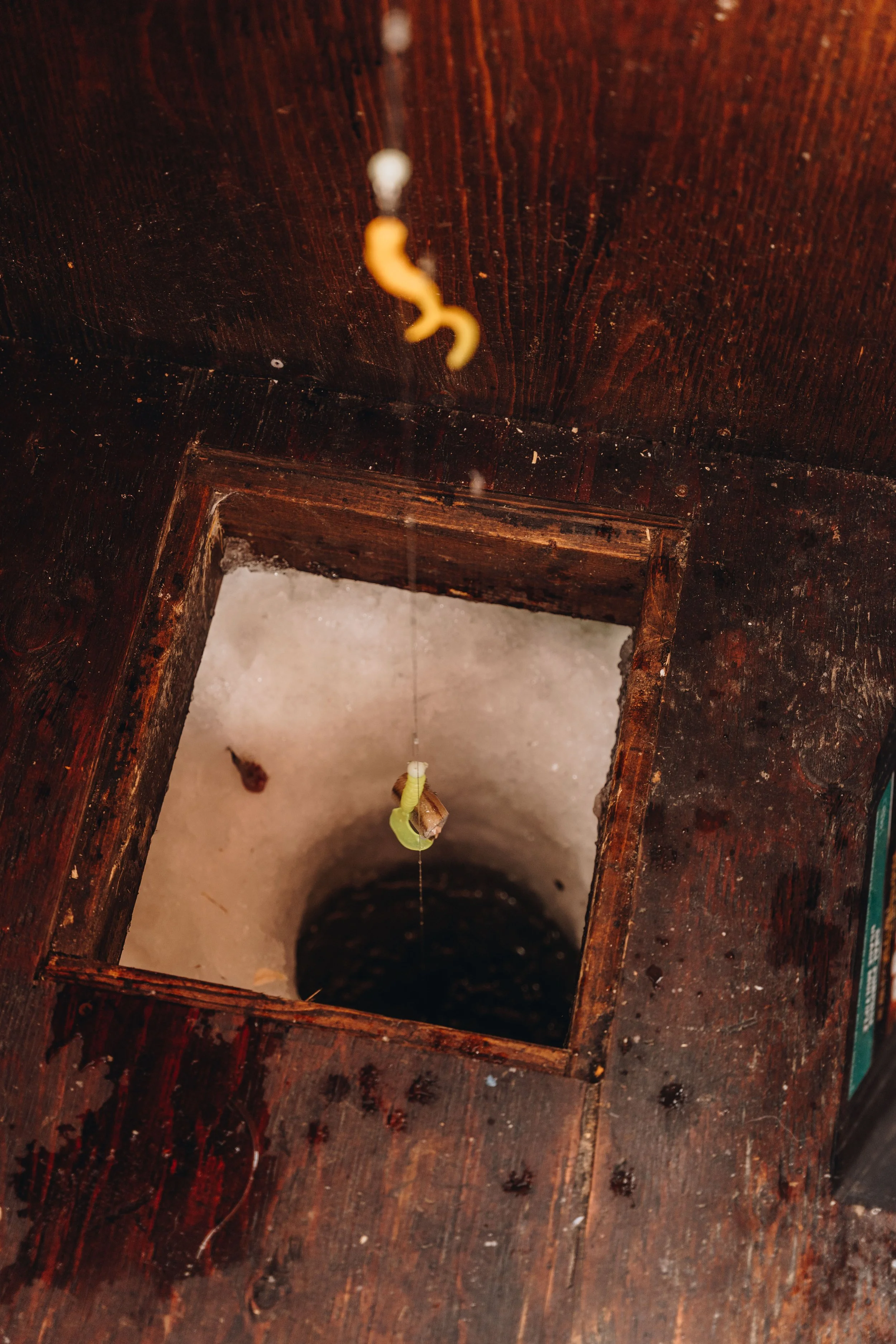 peche blanche l'anse saint jean chien (14).jpg