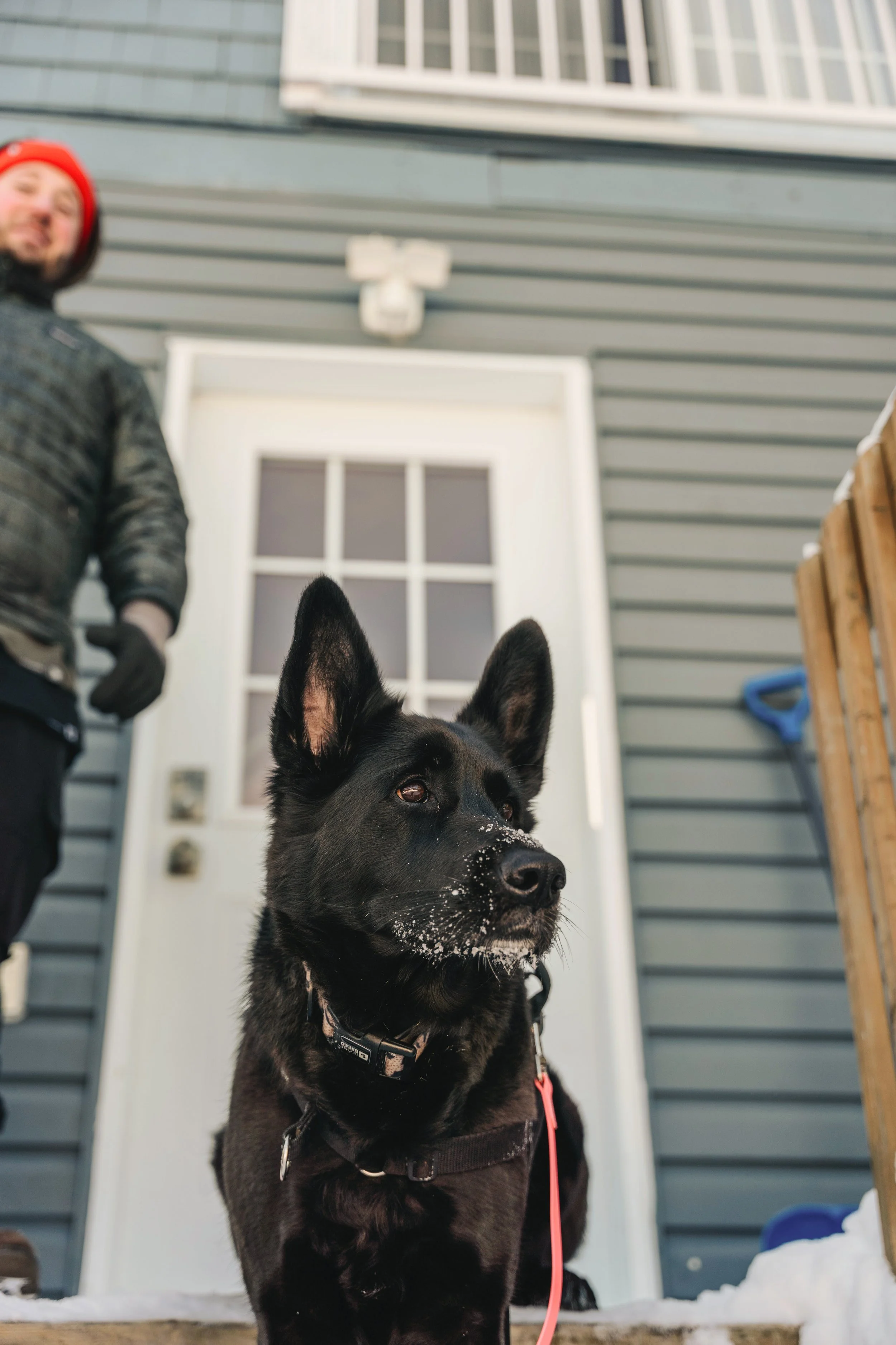 le botanique_onvasepromener 96.jpg