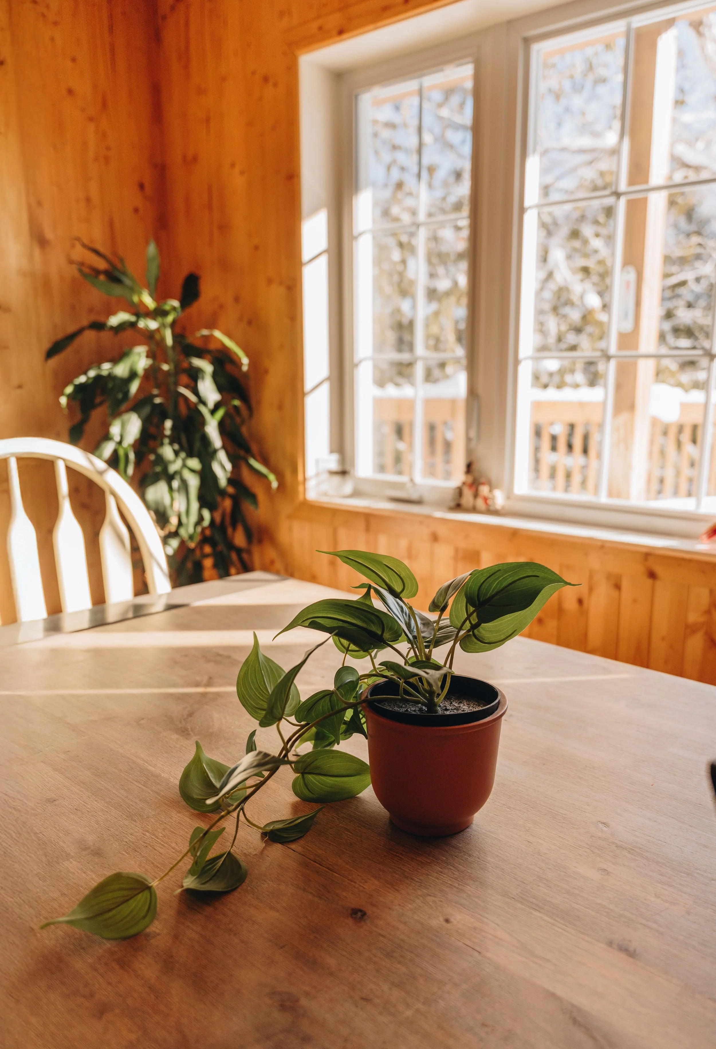 le botanique_onvasepromener 27.jpg