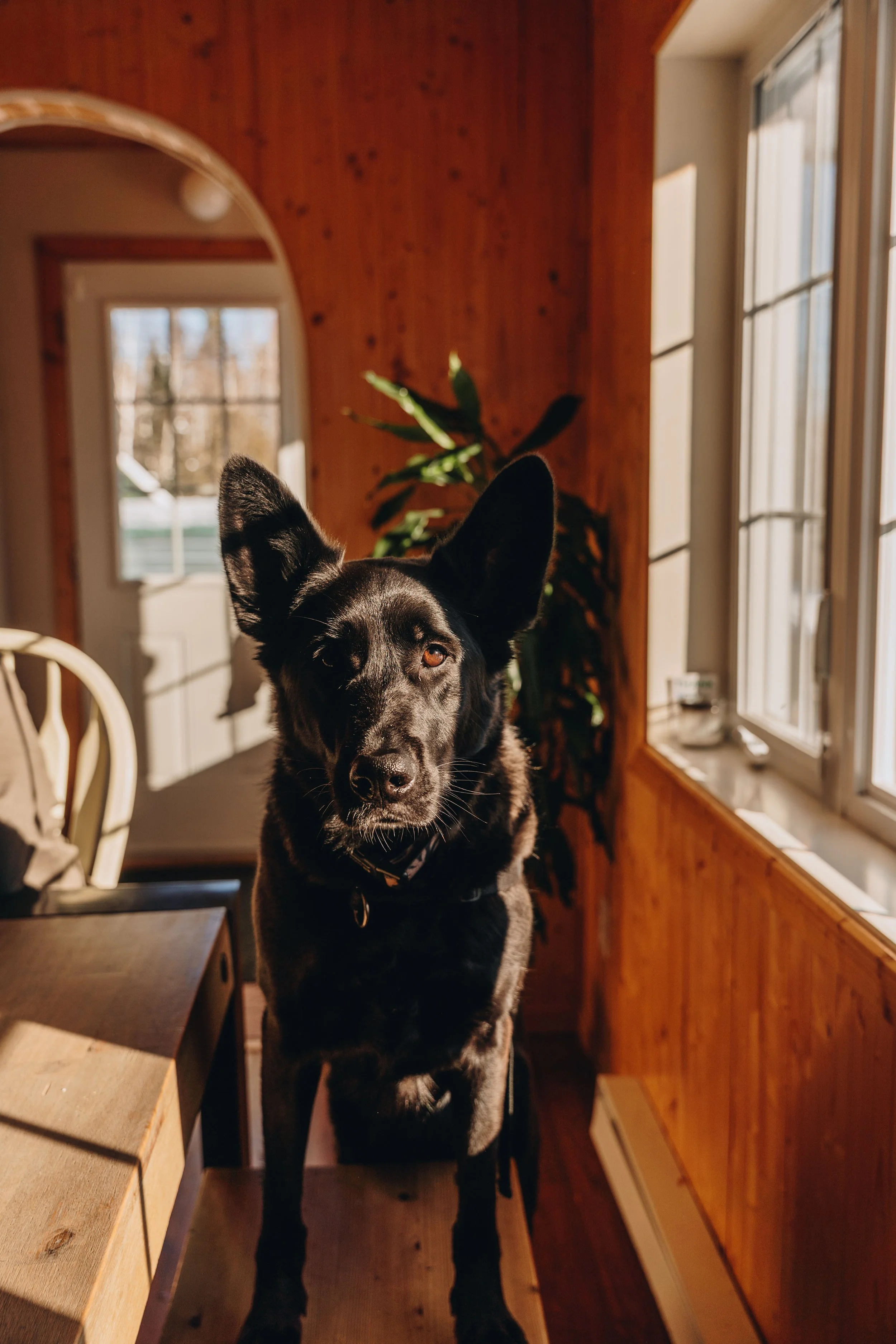 le botanique_onvasepromener 108.jpg