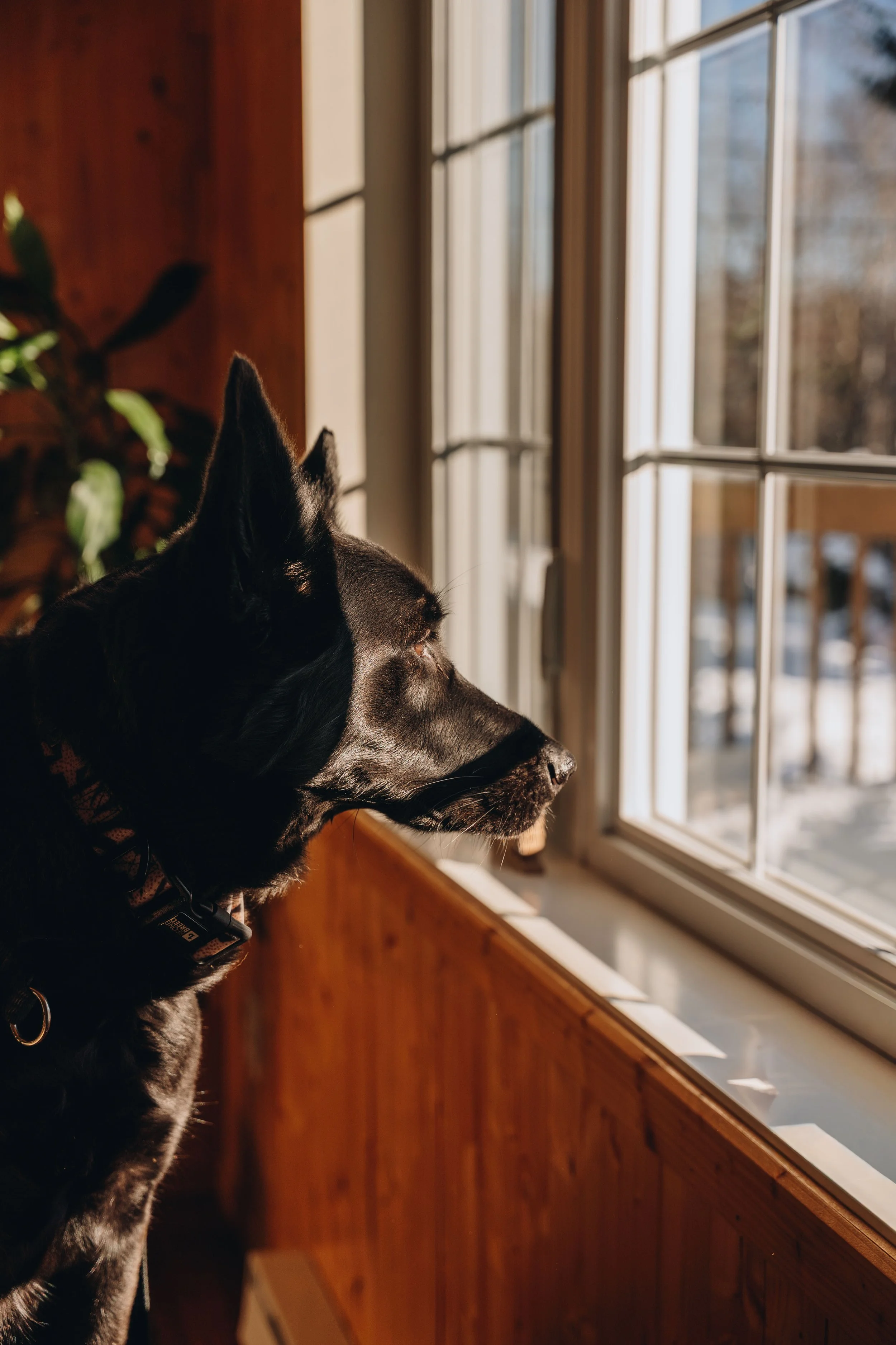 le botanique_onvasepromener 106.jpg