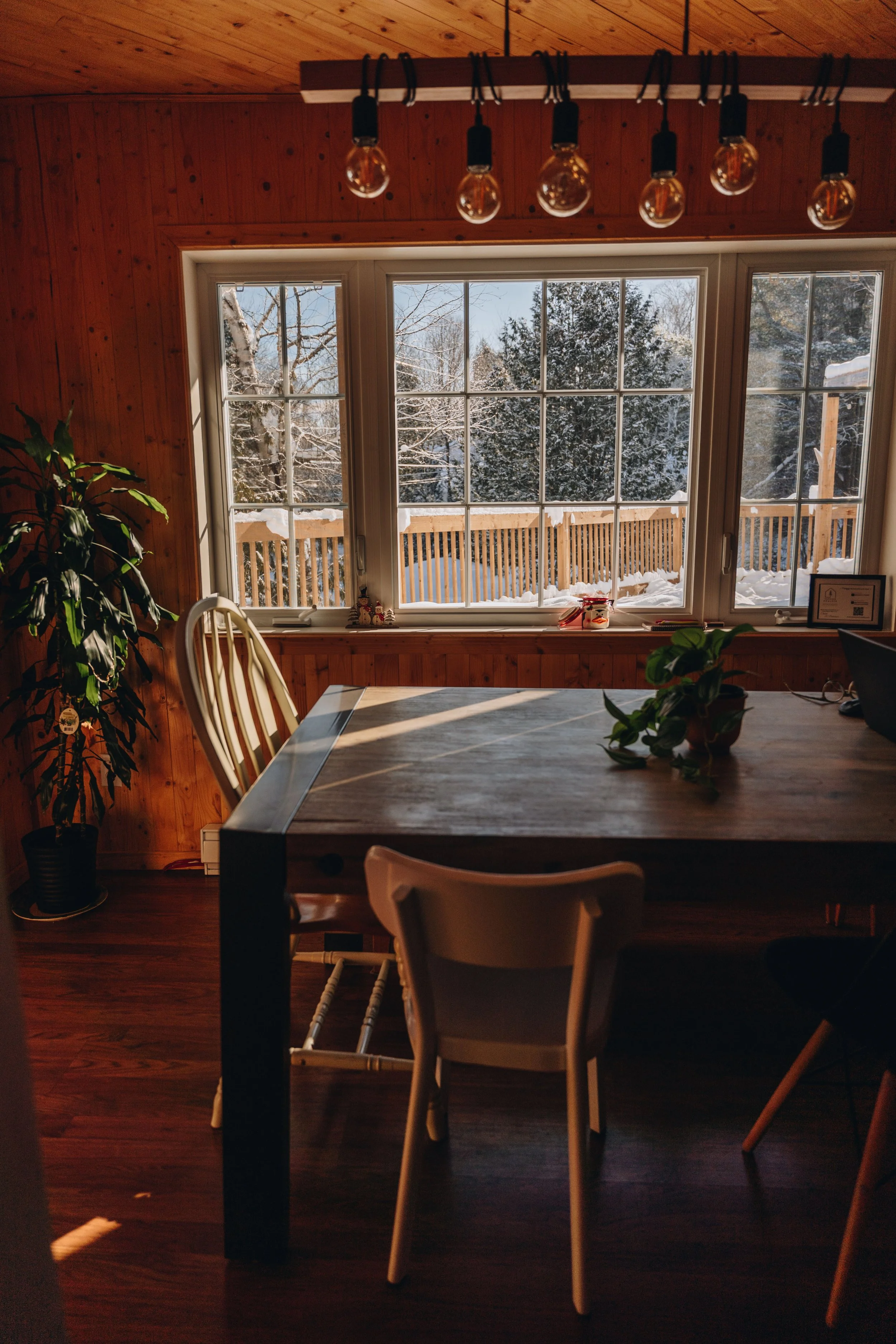 le botanique_onvasepromener 26.jpg