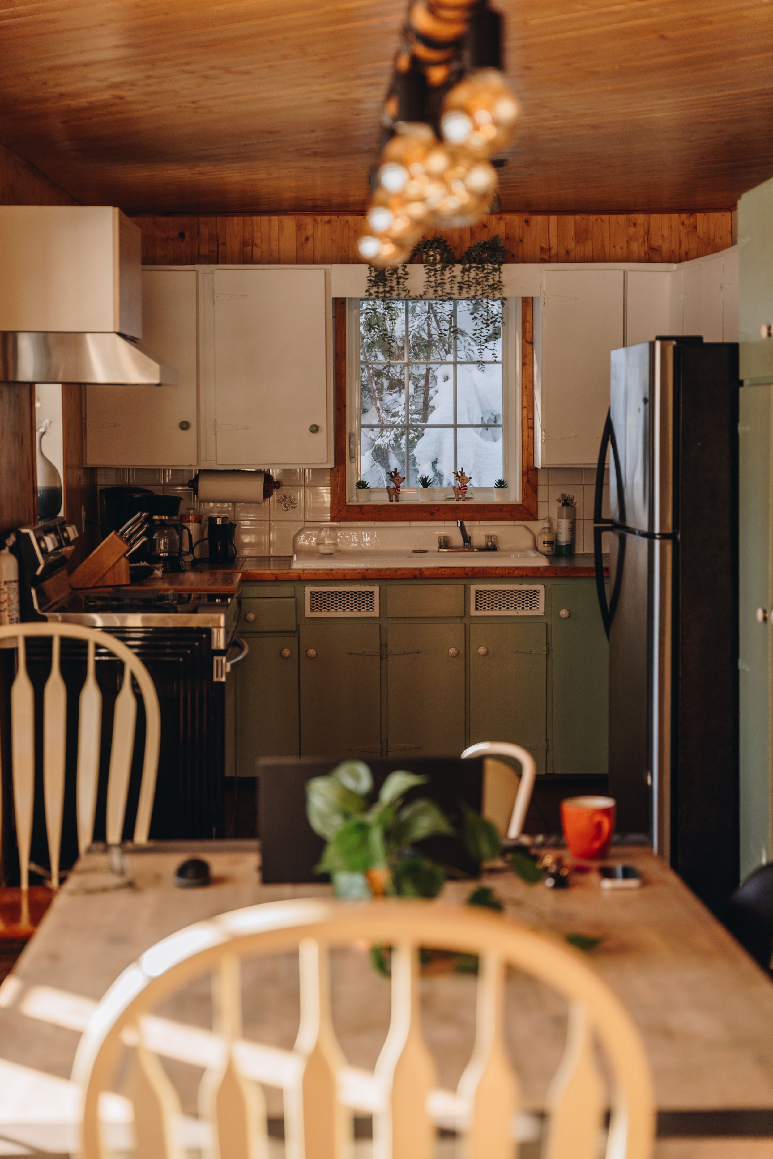 le botanique_onvasepromener 15.jpg