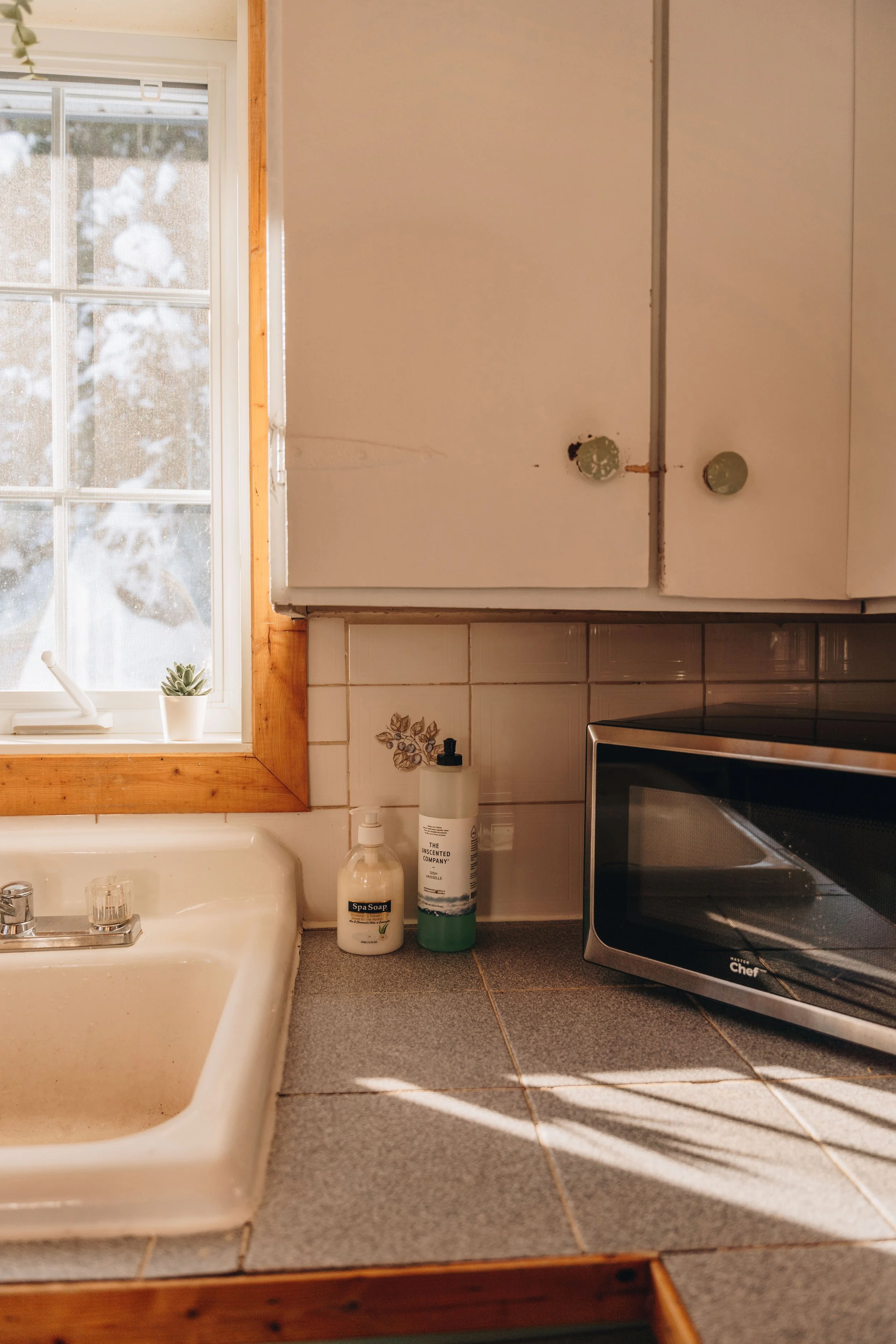 le botanique_onvasepromener 111.jpg